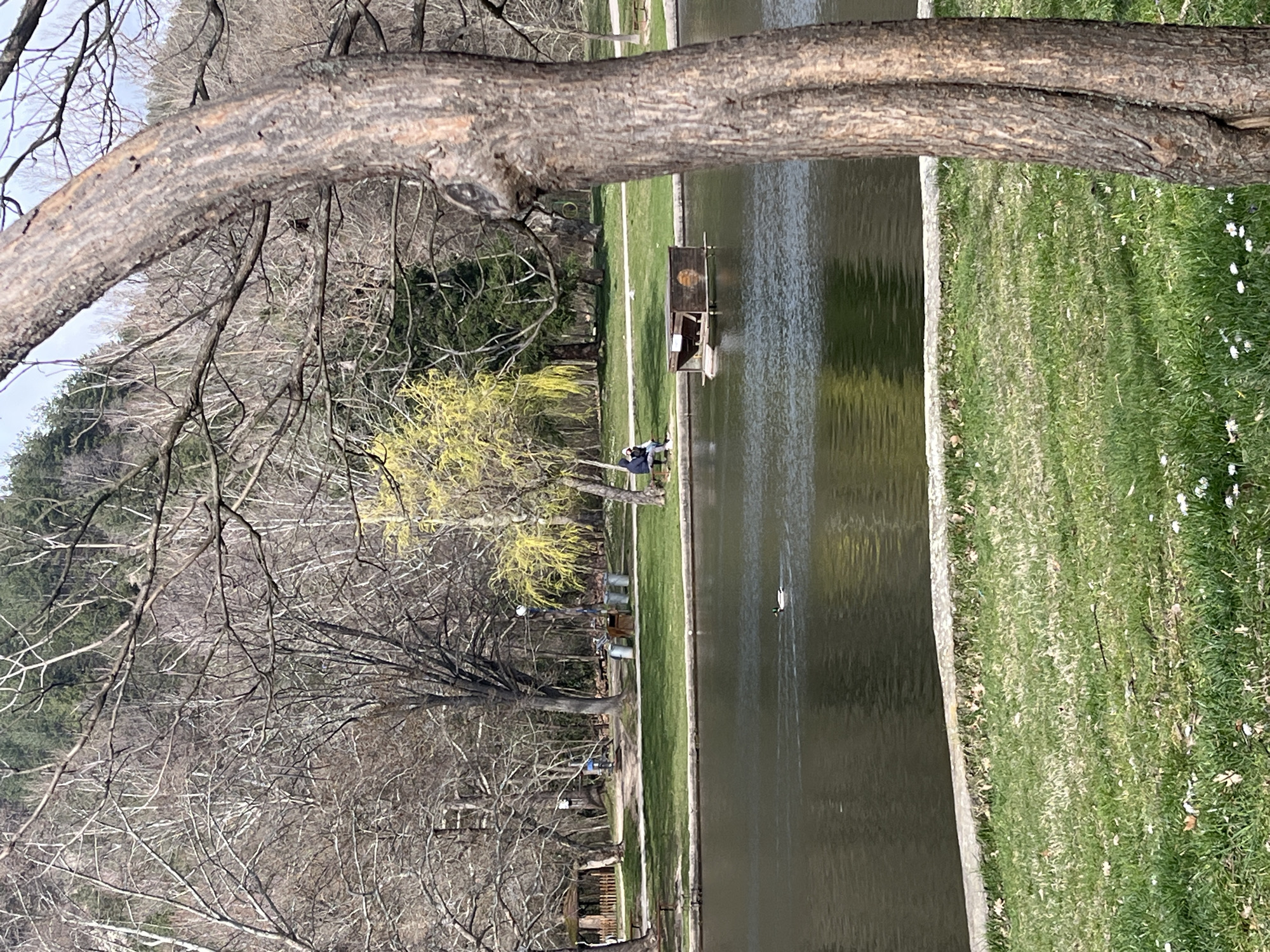 The image shows a park scene in Blagoevgrad, Bulgaria. A body of water, likely a pond, dominates the center. Along the pond's edge is a grass area with flowers. A tree branch frames the top of the image. In the mid-ground, figures are present along the pond edge, near structures such as benches or small buildings. Bare trees and some greenery appear in the background. A small structure is on the pond. A duck is in the water.