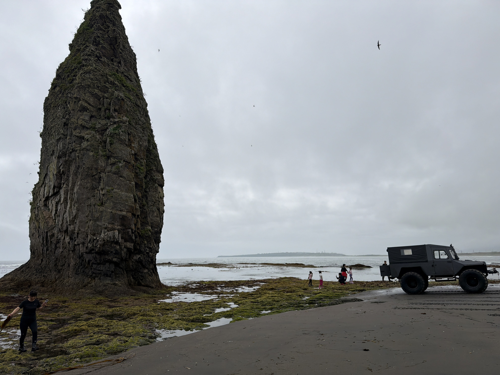 On a cloudy day at a beach, a large, dark rock formation dominates the left side of the frame. In the foreground, a person dressed in black stands on seaweed-covered rocks, holding a piece of kelp and a smartphone. To the right, a dark, rugged all-terrain vehicle is parked on the wet sand. Several people, including children, are gathered near the vehicle and on the rocks, observing the surroundings. The sea stretches out to the horizon under a gray sky, with a distant landmass visible. Birds are seen flying in the sky. The scene appears to be a natural coastal landscape.