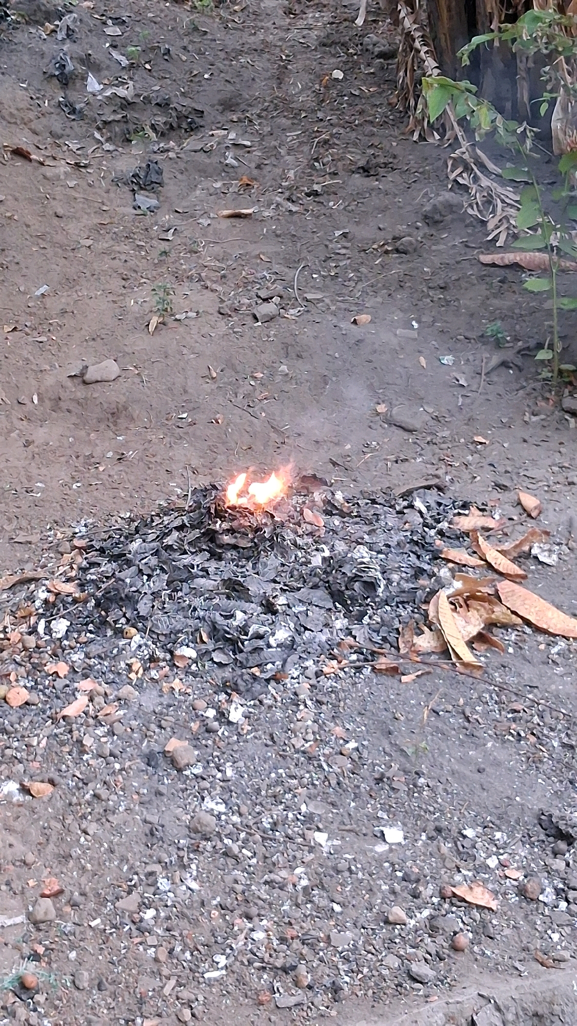 A pile of smoldering leaves and debris is burning on the ground in Banguntapan, Indonesia. The pile is composed of gray ash, burnt leaves, and some orange-colored organic material. Small orange flames are visible at the center of the pile, indicating active burning. The surrounding ground is covered in dirt, small stones, and scattered dried leaves. To the right of the pile, some banana tree leaves and stalks are visible, suggesting the location is near a garden or cultivated area. The scene appears to be outdoors, likely in a residential or agricultural setting within Banguntapan. There are no people visible in the image.