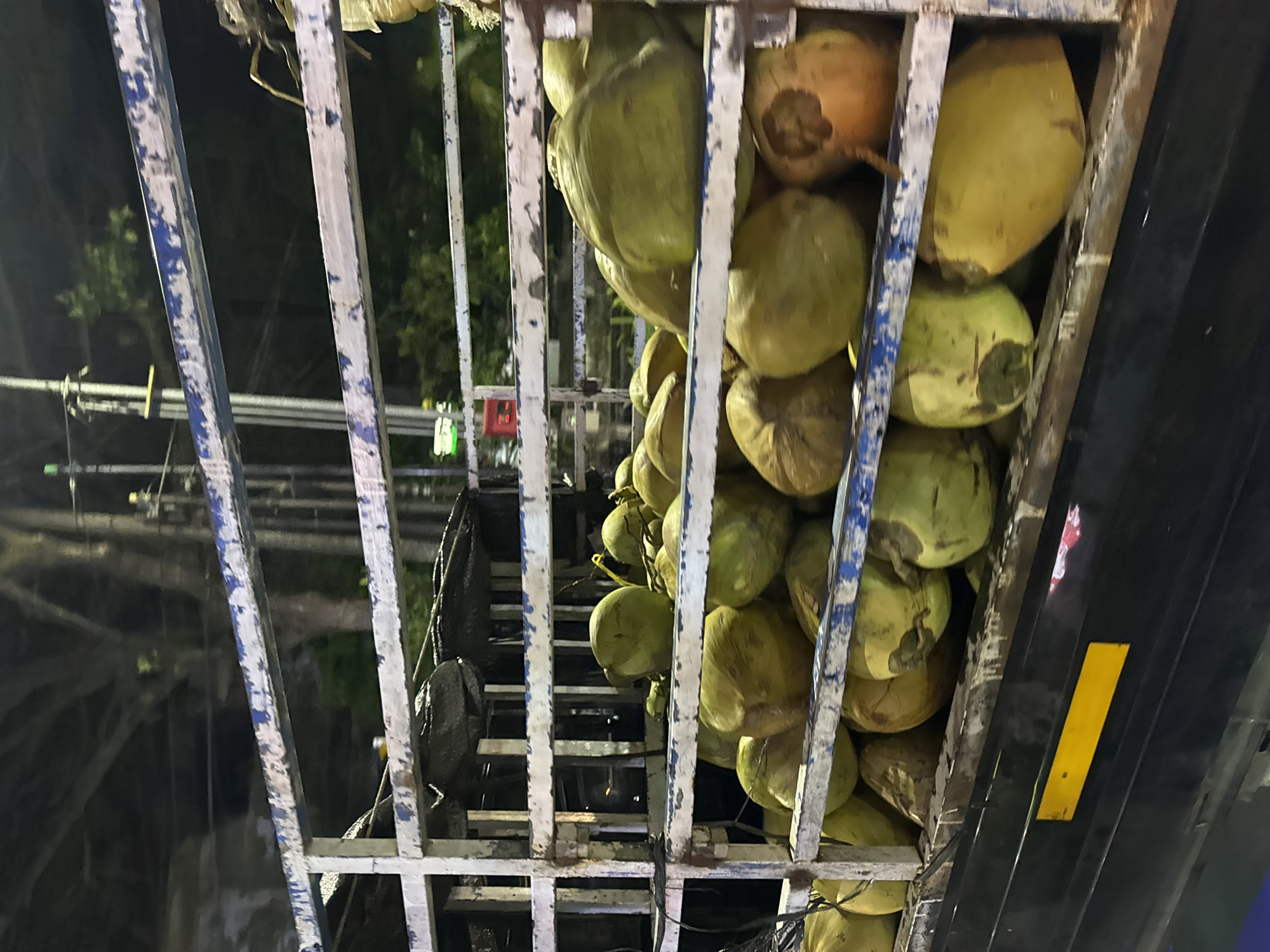 The image depicts a metal cage filled with a large number of green and brown coconuts. The cage appears to be attached to a vehicle, possibly a truck, as indicated by a black surface and a yellow reflective strip on the right side. Through the cage, in the background, there are visible structures and possibly vegetation, suggesting an outdoor setting. The scene is underexposed, indicating it's likely night or a dimly lit environment. While the image location is specified as Ungasan, Indonesia, there's no visual evidence in the image to confirm or deny it.