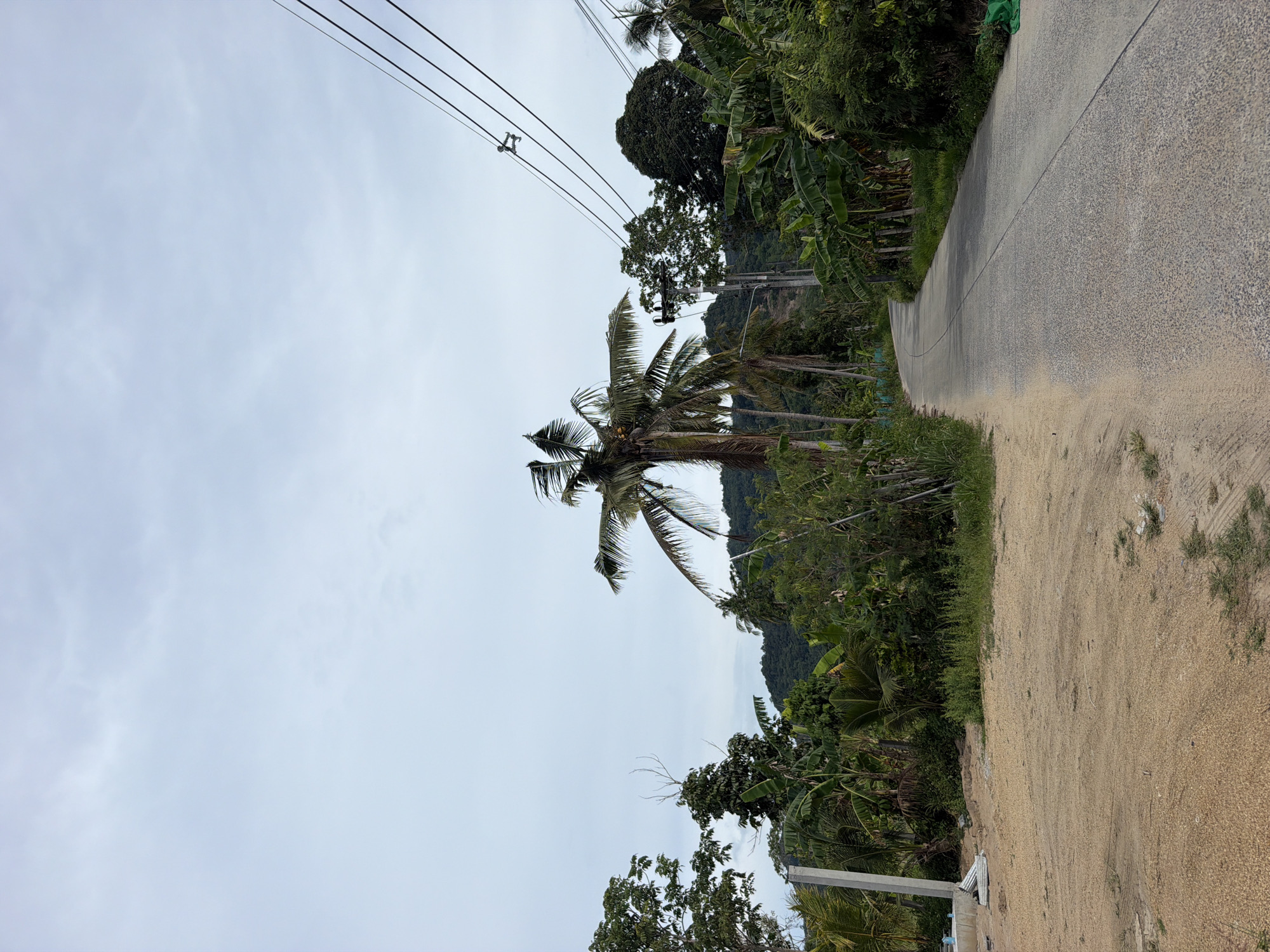 The image depicts a paved road winding through a tropical landscape under an overcast sky. The road is grey and appears to be in good condition, with a single white line marking its center. On the left side of the road, a dirt and gravel area leads up to a concrete post and some construction materials, suggesting ongoing development or a building site. A variety of lush green tropical vegetation, including palm trees, banana plants, and other dense foliage, lines both sides of the road, with a hilly, forested area visible in the background. Overhead, power lines stretch across the upper right portion of the frame, supported by a utility pole. The scene has a natural, undeveloped feel, typical of rural tropical environments. This specific location is in Baan Mae Nam, Thailand, a coastal village on the island of Koh Phangan known for its beaches and relaxed atmosphere.