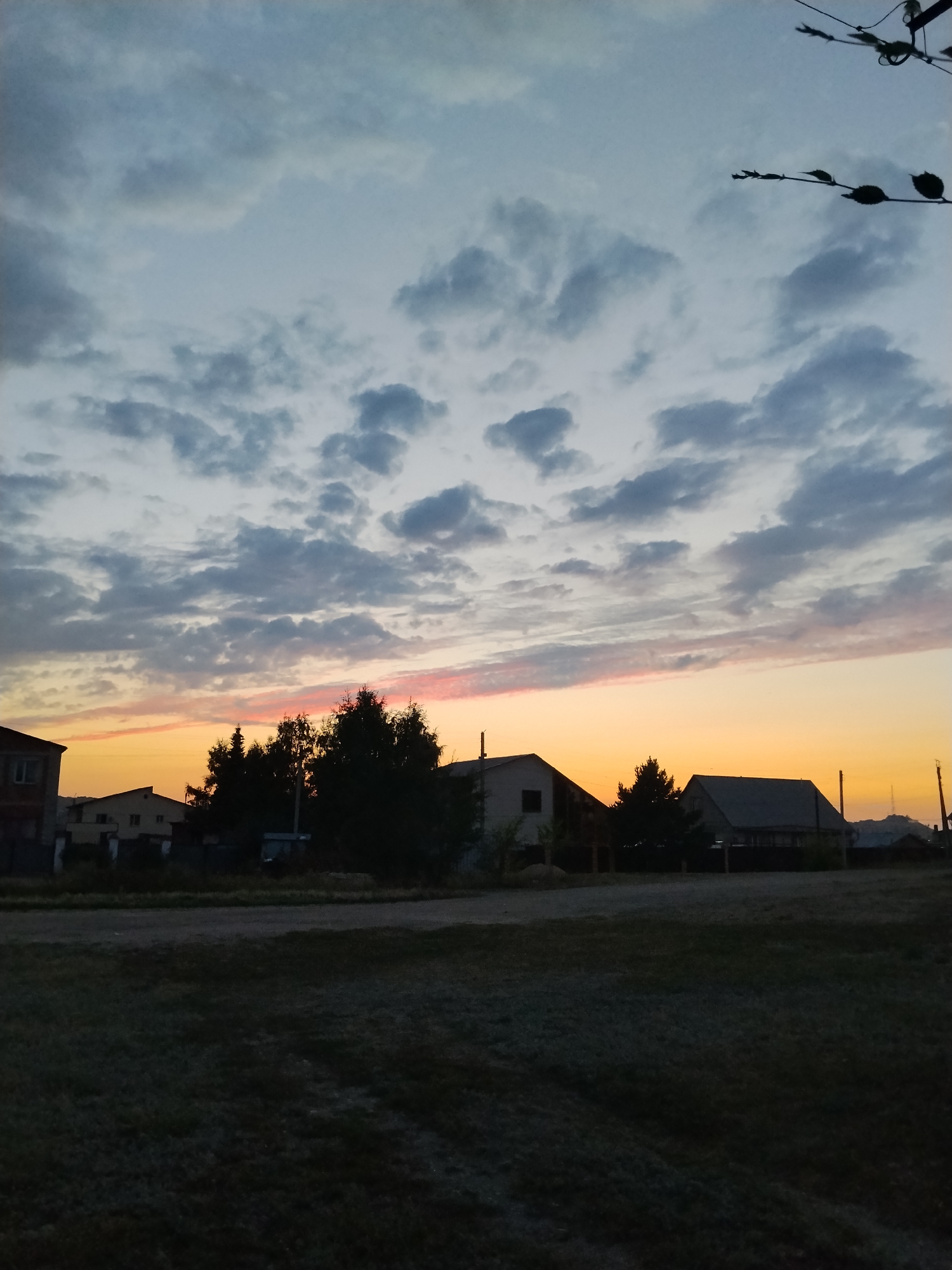 A vertical, low-angle photograph captures a twilight scene in Kokshetau, Kazakhstan. The sky is filled with scattered, wispy clouds in shades of gray and pale blue, with a thin band of pink and orange light on the horizon. In the foreground, dark grass covers the ground, with faint patterns suggesting frost. A dirt road runs horizontally across the mid-ground, separating the grass from a row of silhouetted houses and trees. The houses are simple structures with dark roofs, and dark, dense trees are interspersed among them. In the upper right corner, a dark silhouette of overhead wires and a branch with leaves is visible against the sky. The overall impression is one of a quiet, rural evening or early morning in a residential area.