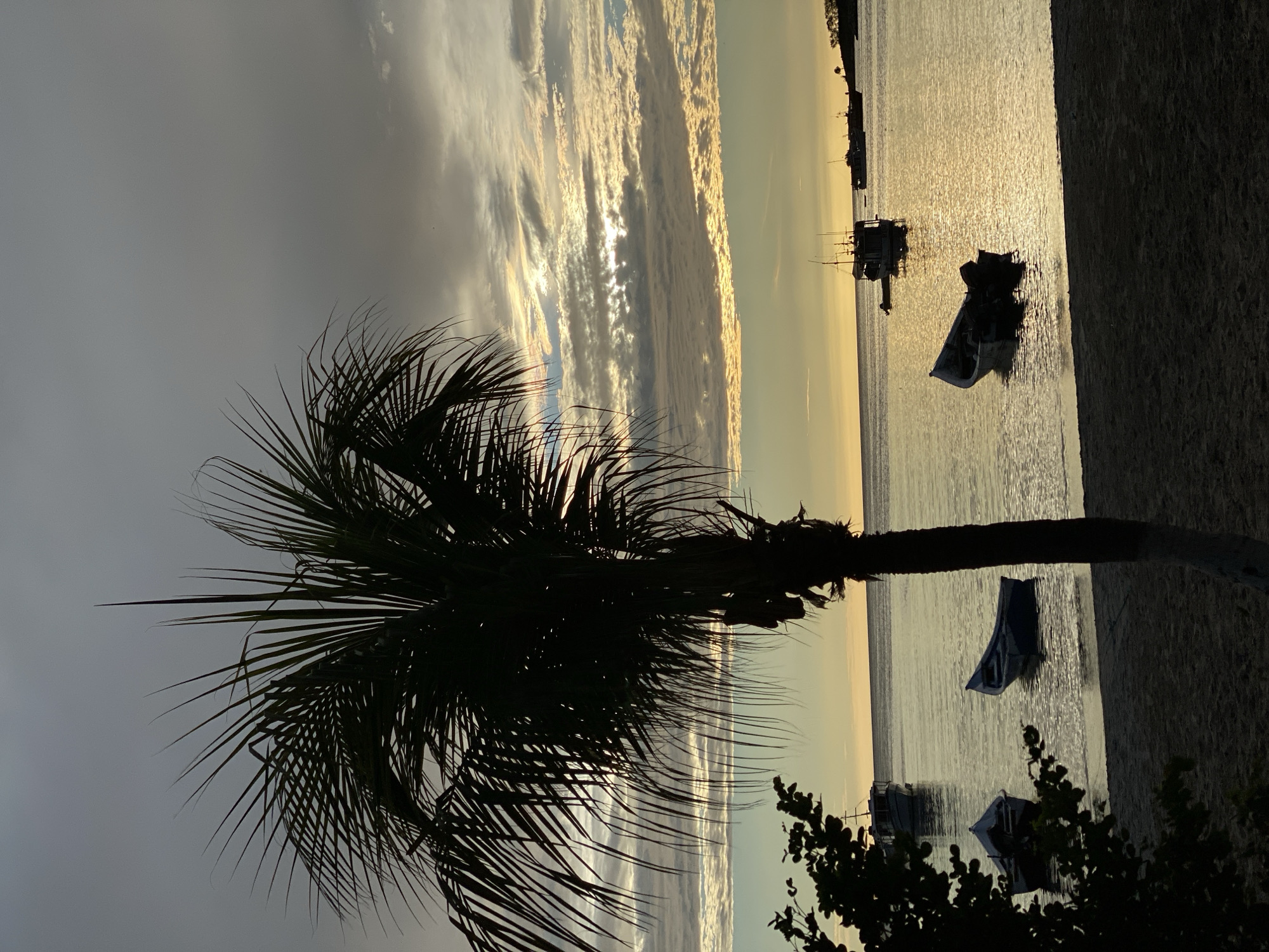 The image shows a tranquil scene at sunset in Juan Griego, Venezuela. In the foreground, a silhouetted palm tree stands tall, its fronds reaching towards the dusky sky. The sand of a beach is visible beneath, leading to the calm, shimmering waters of the sea. Several small, empty boats are moored in the shallows, their forms reflected in the golden light. Further out, larger boats and a distant shoreline with trees are visible. The sky is a dramatic canvas of grays, with streaks of golden light breaking through the clouds, indicative of the setting sun. The overall atmosphere is one of peace and natural beauty.
