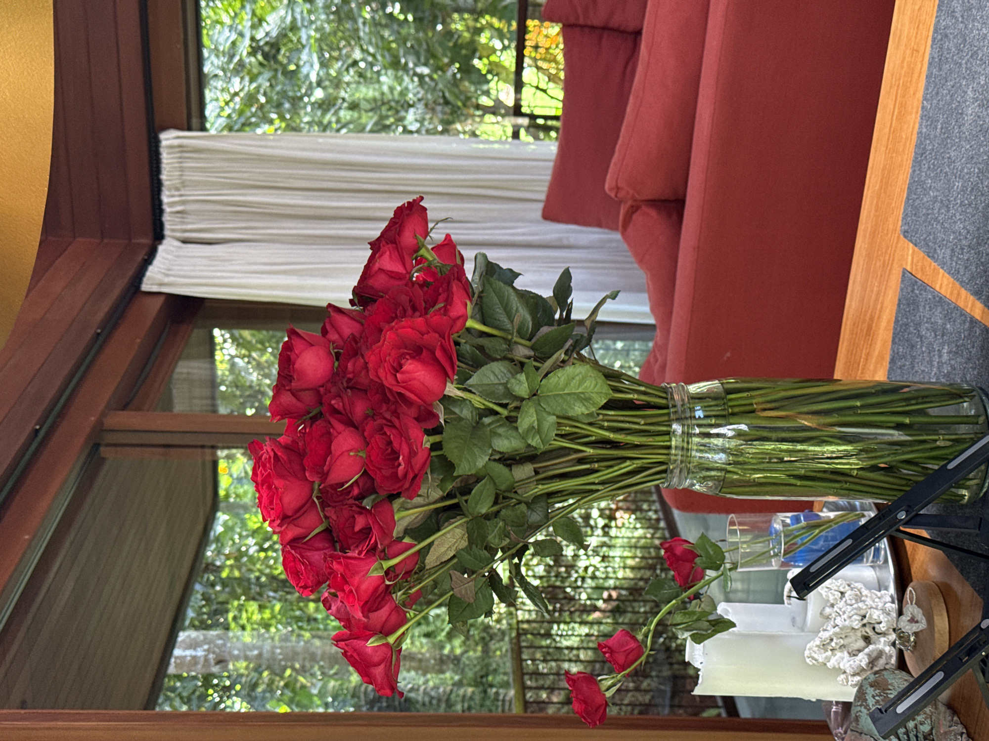 This image, rotated 90 degrees counter-clockwise from its likely original orientation, captures a vibrant indoor scene featuring a large bouquet of red roses. The roses, numbering several dozen, are arranged in a tall, clear glass vase, their long green stems visible through the glass. A couple of individual red roses are also visible lower down, one resting on a surface and another in a smaller clear vase containing blue liquid.
The bouquet is placed on a wooden surface, likely a table, which also holds several white pillar candles, a white, organic-shaped decorative item (resembling coral), and a silver pendant or piece of jewelry. A black metal stand, possibly for a laptop or book, is also on the table.
In the background, a large red sofa with multiple cushions occupies the right side of the frame. To the left and across the center, a wide window with dark wooden frames looks out onto a lush green, sunlit landscape, indicating a natural, perhaps garden or jungle, environment. White pleated blinds are pulled up at the top of the window. A curved golden wall or structure is partially visible on the far left.
The scene is brightly lit by natural daylight, suggesting it is daytime. No specific activity is taking place; it is a still life arrangement within a domestic or hospitality setting. The lush greenery outside and the wooden elements are consistent with the provided location context of Ubud District, Indonesia. There is no visible text in the image.