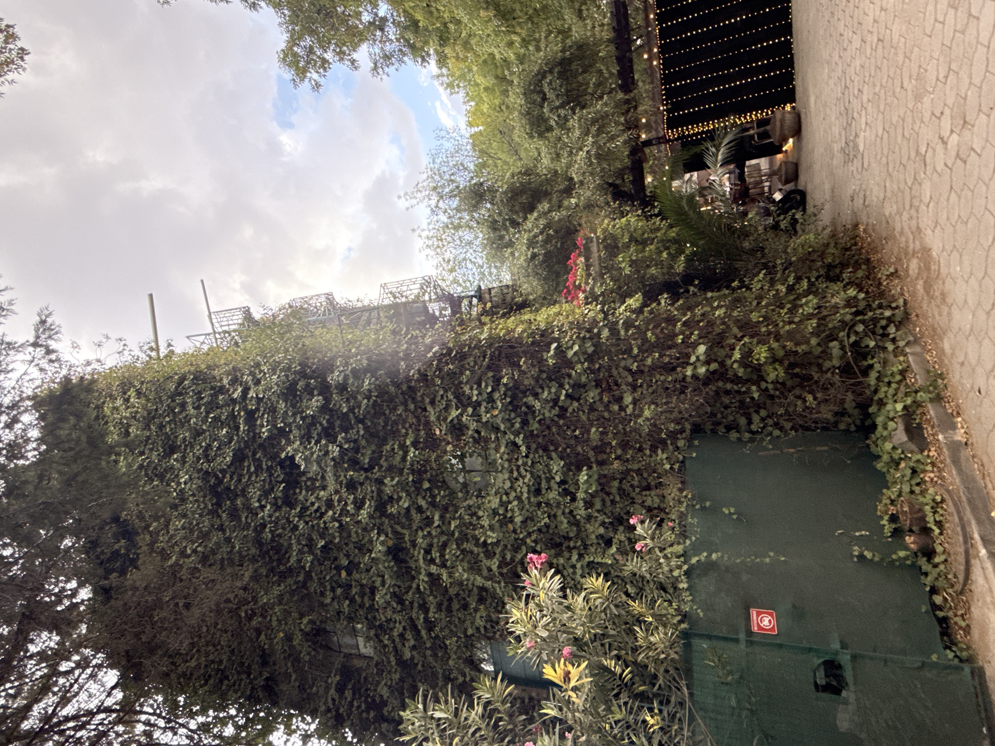 This image captures an outdoor scene in Puebla, Mexico, dominated by a building heavily covered in dense green climbing ivy on the left side. Several windows are partially visible through the foliage. Below the ivy-covered wall, a dark green corrugated metal gate is present, affixed with a red circular sign depicting a crossed-out car, indicating "no vehicles." In front of the gate and wall, a bush with yellow-green leaves and pink flowers is visible. A metal fire escape or external staircase, dark in color, ascends vertically on the right side of the ivy-covered structure. The sky above is partly cloudy, displaying patches of both light grey clouds and blue sky. The ground transitions from exposed soil and leaves in the immediate foreground to a paved pathway of interlocking pavers extending towards the right. In the midground and background on the right, a densely treed area is visible, under which an outdoor space is illuminated by overhead string lights. A dark screen or wall adorned with vertical rows of small yellow string lights is prominent. Several large, woven planters are on the paved ground, and a dark-colored motorcycle is parked in the vicinity. No individuals are present in the scene.
