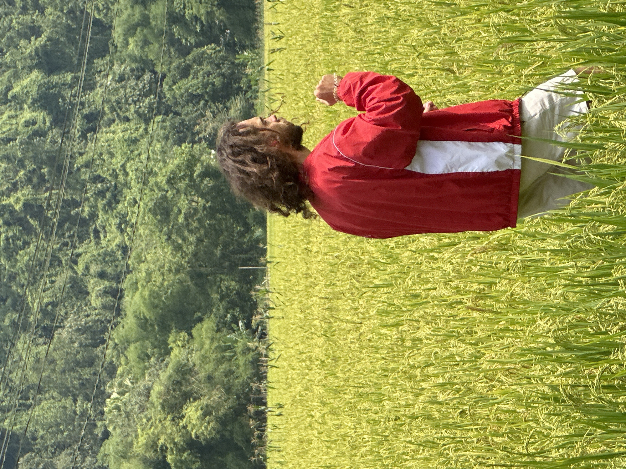 A person with long, curly brown hair and a beard stands in a vibrant green and yellow field, likely a rice paddy, under bright daylight. They are wearing a red jacket with a white horizontal stripe across the chest and light-colored pants. The person's left arm is bent at the elbow with a lightly clenched fist, and they are looking upwards and slightly to their left, suggesting a moment of contemplation, hope, or admiration. A gold-toned bracelet is visible on their left wrist.
The setting is an expansive agricultural landscape, with the field stretching across the midground. In the background, lush, dense green trees cover what appear to be hills or mountains, hinting at a natural, possibly tropical environment. Several dark power lines or cables are visible diagonally traversing the upper left portion of the background, partially obscuring the foliage. The scene is illuminated by clear sunlight, indicating a sunny day. This location is consistent with the rural landscape of Ngọc Đường Commune, Vietnam. There is no visible text in the image.