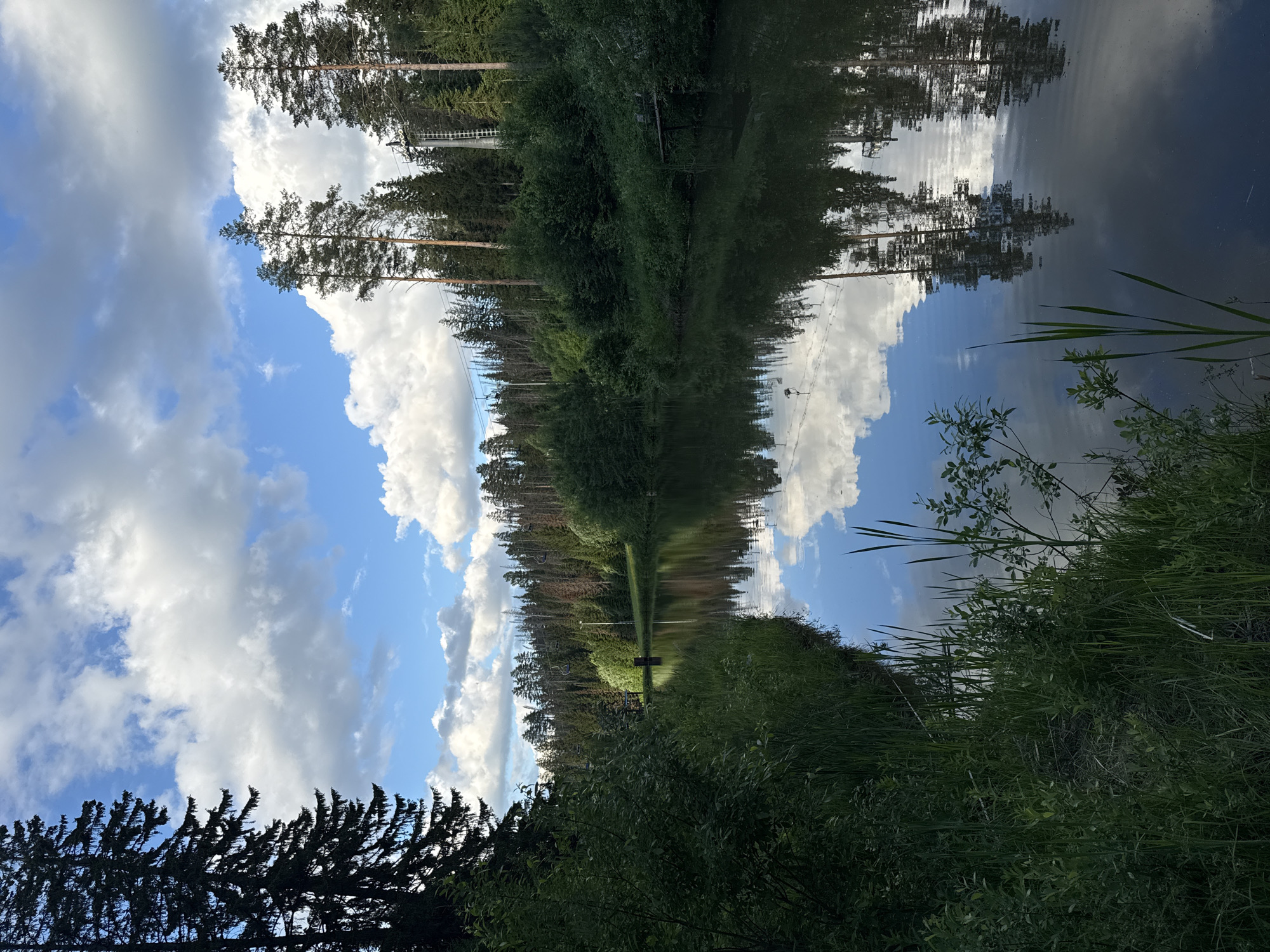 The image depicts a serene natural landscape with a body of water, likely a river or lake, reflecting the sky and surrounding trees. On the left bank, tall, dark green evergreen trees dominate the foreground, casting a shadow over the grassy bank. The water is calm, with clear reflections of the blue sky, white puffy clouds, and the dense coniferous forest that lines the opposite bank. Some deciduous trees with lighter green foliage are interspersed within the forest. In the distance, a ski lift structure with towers and cables is visible against the treeline, suggesting the location may be a recreational area or ski resort. The overall impression is one of tranquility and natural beauty, with the interplay of light and shadow creating a visually appealing scene. The location is identified as Nechkino, Russia.