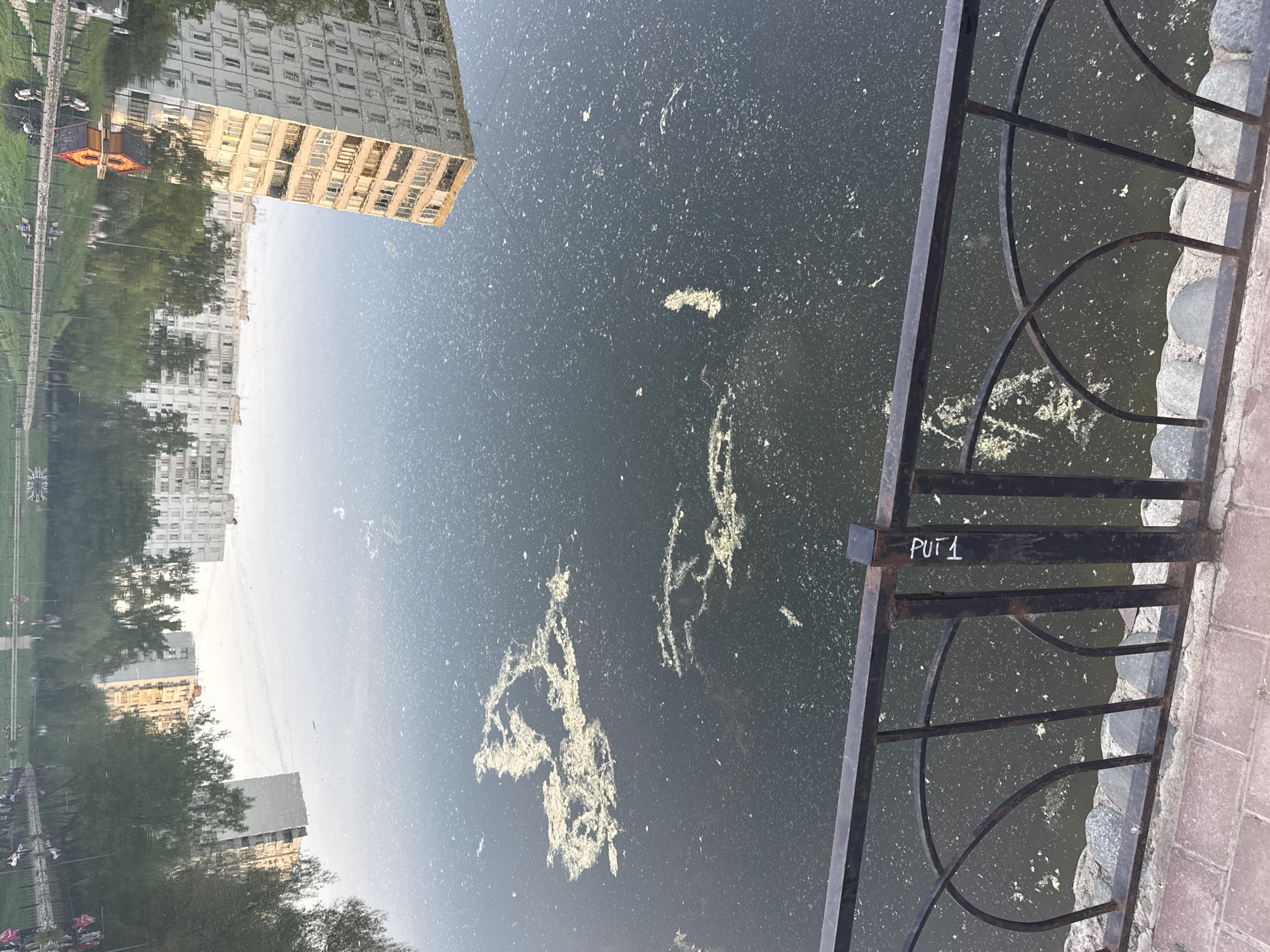 The image shows a body of water, likely a pond or small lake, with the reflection of buildings and trees on its surface. There is a wrought iron fence in the foreground. Graffiti reading "PUT 1" is visible on the fence. The water is murky, with a scum of algae or pollutants. The scene is in a park or public space within Moscow, Russia, as evidenced by the architecture and vegetation. There are no people visible in the foreground.