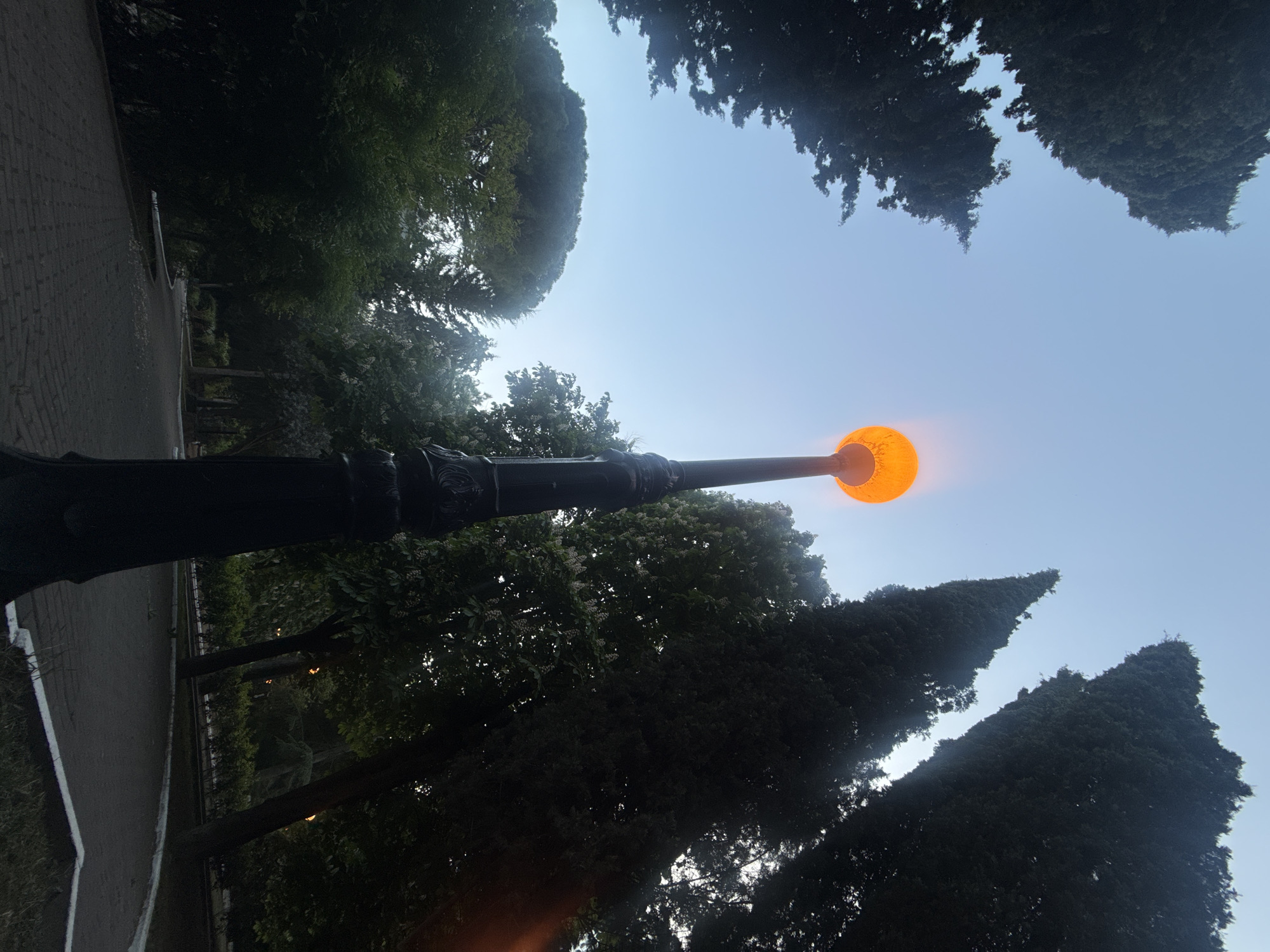 A vertical, low-angle shot depicts a dimly lit park at dusk or dawn. The foreground features a black, ornate lamppost with a round, orange glowing light fixture at the top. The lamppost is positioned at a slight angle, pointing upwards towards the sky. The surrounding environment consists of various trees with differing foliage, partially obscuring the view of the sky. A paved pathway is visible on the left side of the frame. The overall scene evokes a sense of tranquility and urban serenity. The location is Unknown, Unknown.