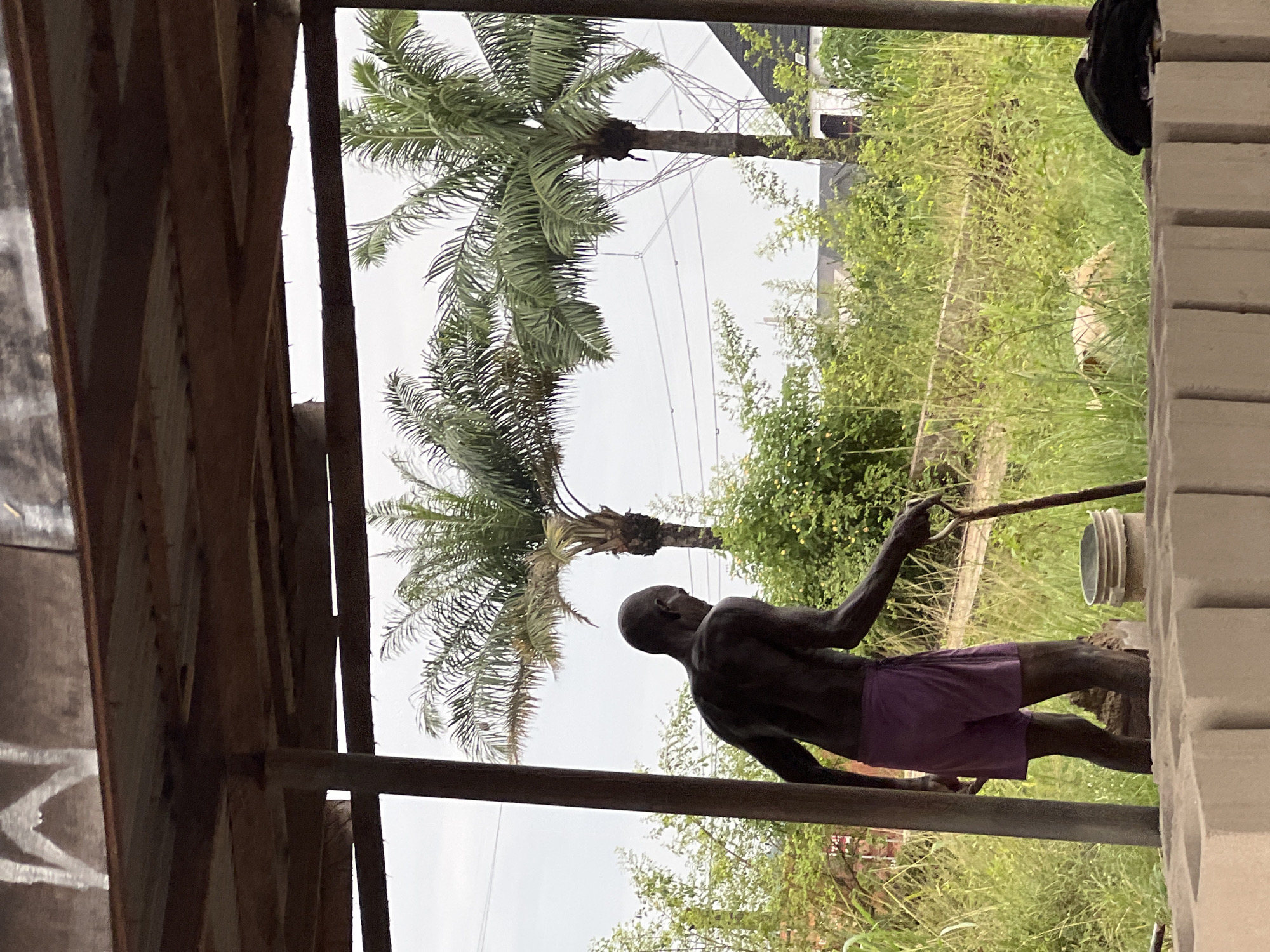 This media file captures an outdoor scene, likely in Nkpor, Nigeria, featuring a person and a natural environment. The image is oriented vertically, with the main subject, a person with dark skin, in the foreground. They are wearing purple shorts and appear to be engaging in an activity involving a long, thin object held in their right hand, possibly a stick or tool. The person is in a semi-crouched or bent-over posture, facing away from the camera and towards the left of the frame.
Behind the person, lush green vegetation dominates the background, with tall grass and trees suggesting a tropical or subtropical climate. A prominent palm tree with its characteristic fronds is visible towards the upper left of the frame, adding to the tropical feel. In the distance, a structure with metallic beams and wires can be seen, possibly indicative of utility infrastructure like power lines or a construction site.
The overall lighting suggests daytime, with a bright, overcast sky, hinting at potentially humid or rainy weather, common in Nigerian climates. The scene appears to be within a rustic or partially constructed outdoor shelter, with wooden beams and corrugated metal visible along the left edge of the frame, implying a simple, utilitarian setting. The ground is covered in grass and dirt. There is no visible text in the image. The mood is calm and focused, with the person appearing engaged in their task.