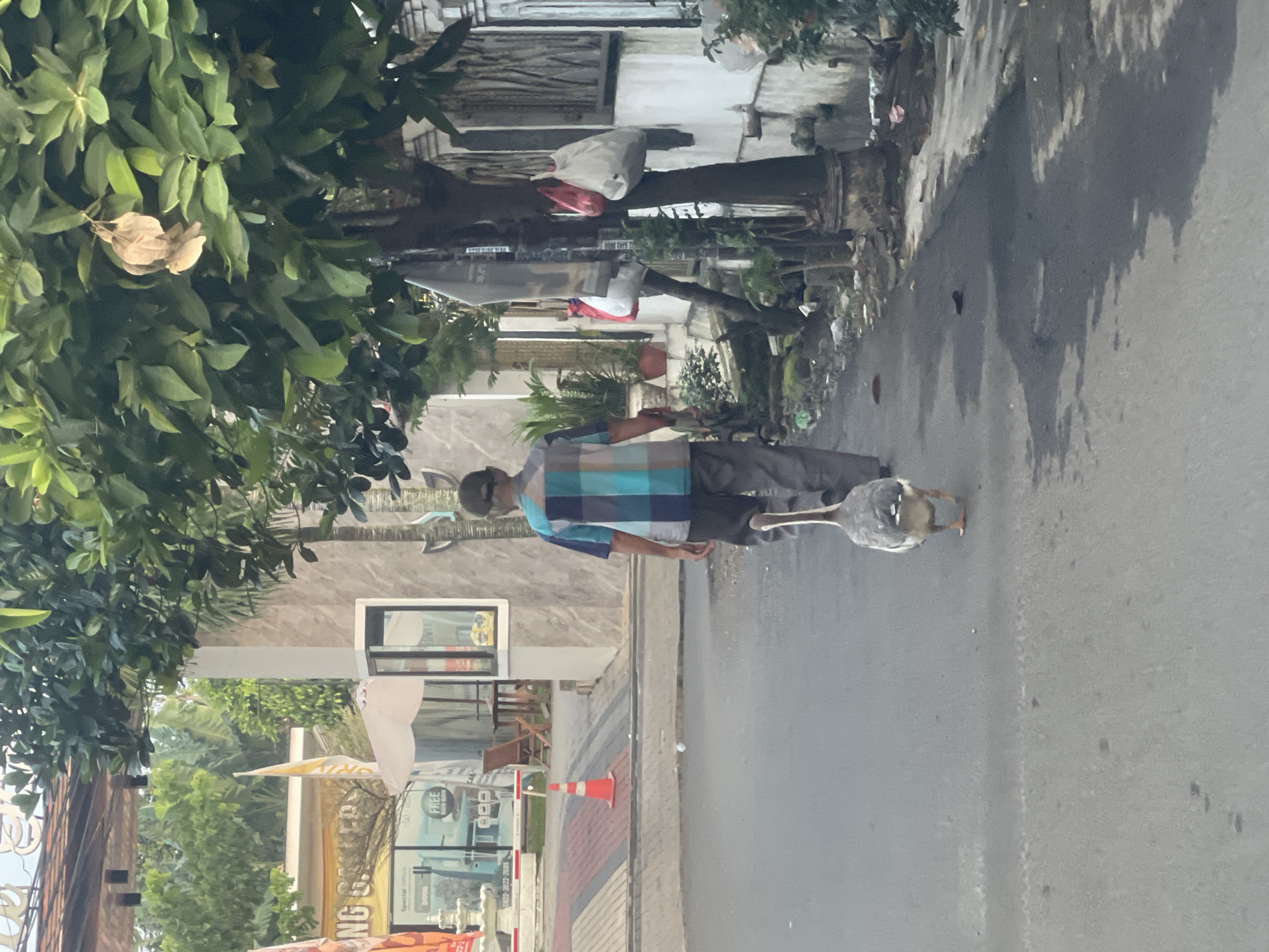 In South Tangerang, Indonesia, a man walks down a paved road behind a goose. The man is wearing a plaid shirt and dark pants, with a baseball cap on his head. The goose, facing away from the viewer, is a gray and white waterfowl. The road is lined with trees and buildings. In the background, there are shops with signage, one of which appears to be "NG GASKET" with "Special Offers" and "FREE" visible. There are also orange traffic cones, a fountain, and white umbrellas. The environment appears to be an urban or suburban setting with a mix of commercial and residential elements. The lighting suggests it is daytime.