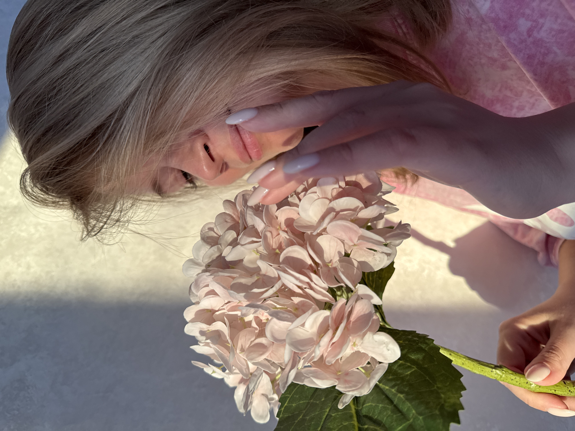 The image displays an indoor scene in Chaikovsky, Russia. A female subject, with blonde hair, is depicted holding a large cluster of light pink, hydrangea-like flowers in her left hand, positioned in the lower-left quadrant. Her right hand is raised, with fingers gently touching her right cheek. Her fingernails are long, oval-shaped, and painted a light, neutral color. She is wearing a pink garment with a subtle patterned design. The background is a textured, light-colored wall. Strong directional lighting from the right illuminates the right side of the frame and the subject, casting distinct shadows on the left portion of the wall and behind the subject.
