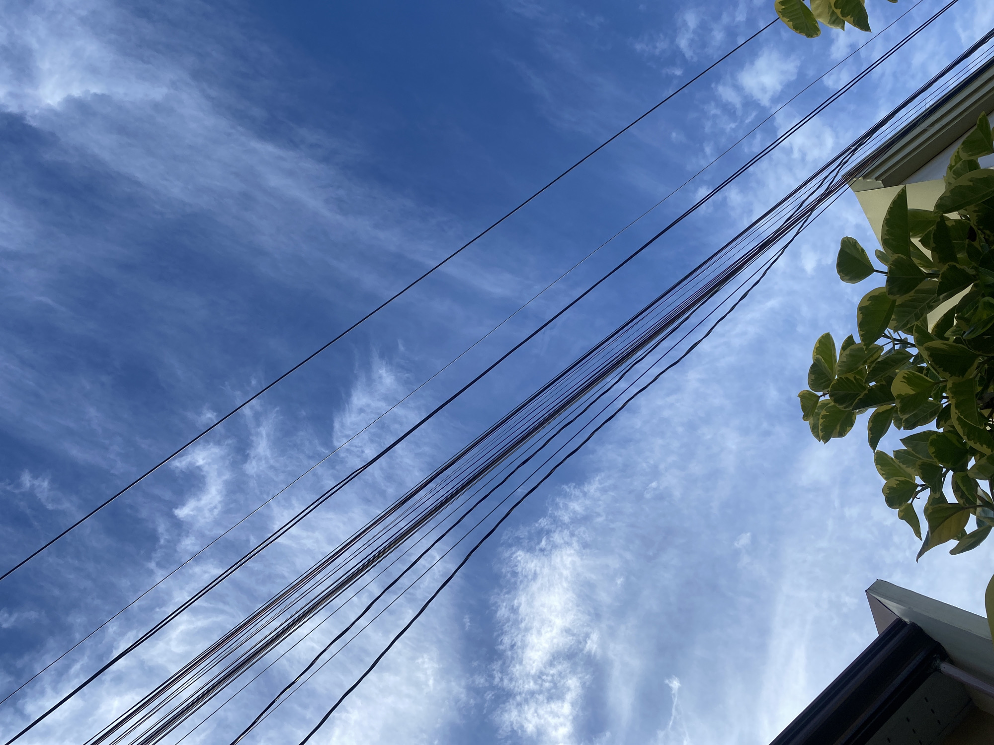 In Davao City, Philippines, a clear blue sky with wispy white clouds serves as the backdrop for a cluster of dark power lines stretching diagonally across the frame. The lines are numerous and close together, creating a dense, almost woven pattern against the sky. In the lower portion of the image, the eaves of a building with a dark brown gutter are visible on the left, and the corner of a light-colored building with a pale yellow facade is seen on the right. Lush green leaves with variegated yellow edges, part of a plant, spill into the frame from the bottom right, adding a touch of organic color to the scene. The perspective is upward-looking, emphasizing the vastness of the sky and the man-made elements that cut through it.