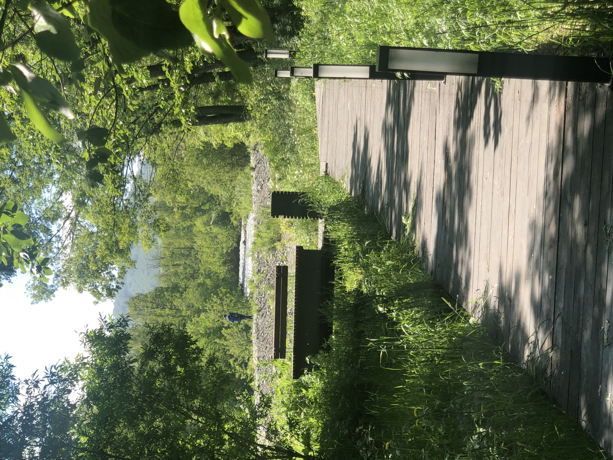 The image depicts a wooden boardwalk winding through a lush green environment. In the foreground, the boardwalk is lined with modern black post lights interspersed with tall, verdant grass. The path leads towards a background of dense foliage and trees, with a river or body of water visible in the distance. A lone figure with a blue backpack is walking on the bank near the water. There is also a wooden bench and table arrangement on the left side of the boardwalk, partially obscured by grass. The scene appears to be a park or recreational area, possibly located in the city of Yelizovo, Russia, given the presence of a river and abundant natural greenery.
