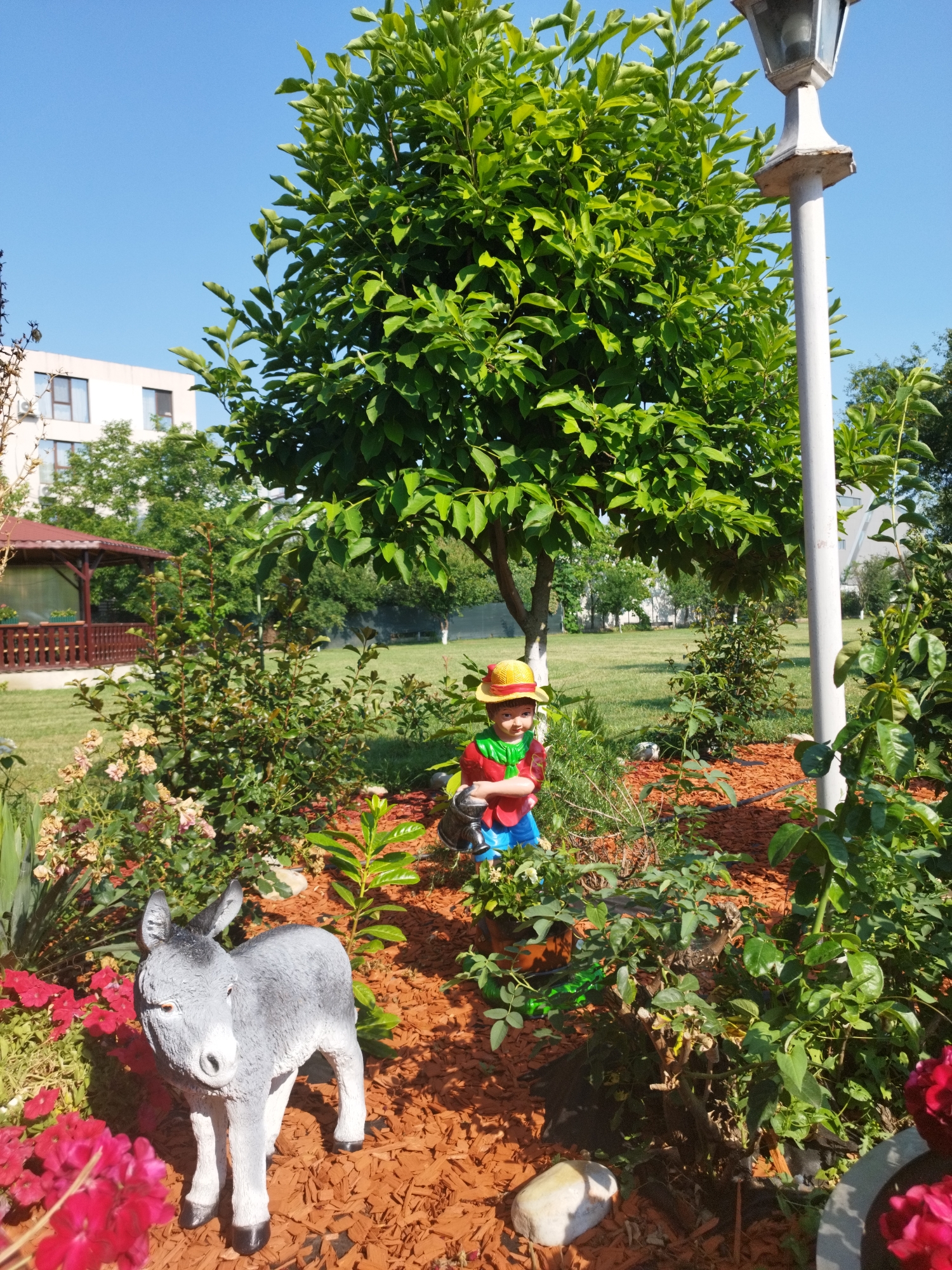 This media file captures a sunlit garden scene, likely in Bucharest, Romania, under a clear blue sky. The foreground is dominated by a small, grey donkey figurine, with a bright pink flower in the lower left corner. Behind the donkey, a child figurine with a yellow and red hat, green shirt, and blue pants is positioned as if watering plants. This figurine appears to be holding a miniature watering can.
The garden itself features a variety of plants and landscaping elements. Red mulch covers the ground around the figurines and in the flowerbeds. Various green shrubs and bushes are visible, along with the budding flowers. In the mid-ground, a decorative wooden gazebo with a red roof is situated on a well-maintained lawn.
Further back, a modern, multi-story white building stands, suggesting an urban or suburban setting. A tall lamppost is visible on the right side of the image, near the child figurine and a large, leafy tree. The overall impression is one of a peaceful, well-kept garden designed for outdoor enjoyment. The bright sunlight suggests it is daytime, likely late morning or early afternoon. There is no visible text in the image.