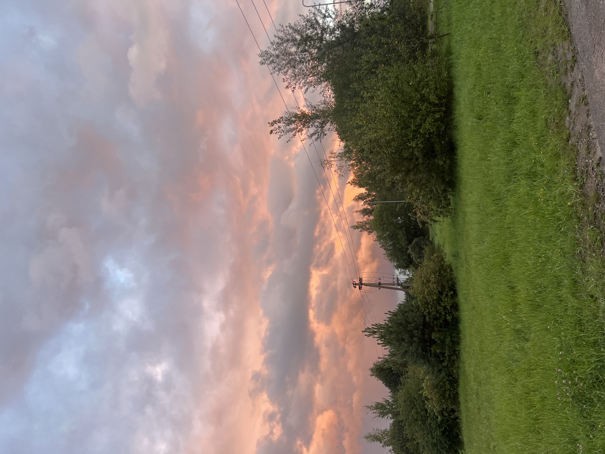 The image depicts a natural landscape featuring a vibrant sky and a verdant grassy field. The sky is filled with a dramatic display of clouds, illuminated by the warm hues of a sunset or sunrise, transitioning from soft pinks and oranges to cooler blues and grays. A line of trees, varying in size and density, borders the field, with some appearing to be evergreens and others deciduous. Among the trees, a utility pole with electrical wires is visible, suggesting the presence of infrastructure near this natural setting. The foreground is dominated by a lush, green meadow with a few small wildflowers scattered throughout. The ground transitions from the grassy field to a rough, gravelly edge, possibly a pathway or the side of a road, on the right side of the frame. The overall scene conveys a sense of serene natural beauty at the edge of human habitation. This image was taken in Vilnius, Lithuania.