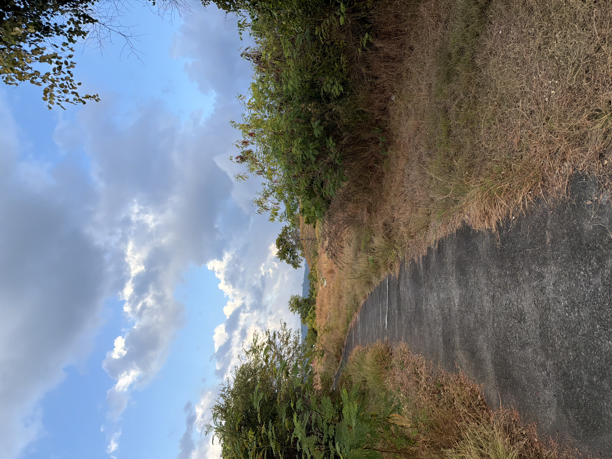 A narrow, cracked asphalt path curves from the foreground into a rural landscape. The path is flanked by dry, golden-brown grass and dense green foliage. In the distance, rolling hills are visible beneath a sky filled with dramatic, grey and white clouds against a pale blue backdrop. The scene appears to be located in the vicinity of Kubutambahan, Indonesia, evoking a sense of natural tranquility and isolation. There are no people or animals visible in the image. The overall impression is one of a quiet, undeveloped area.