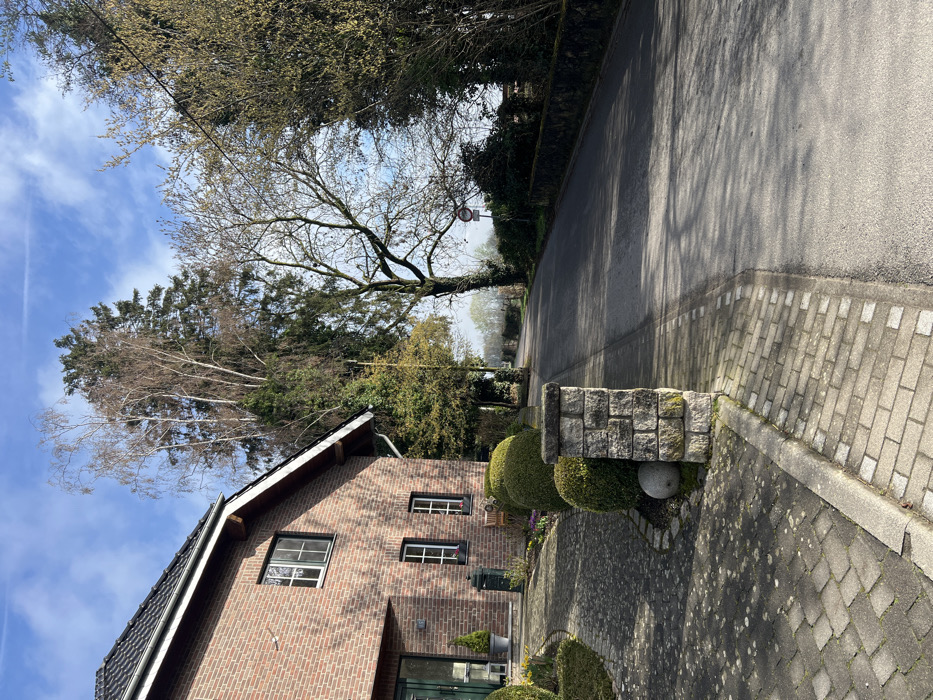 This image captures a street scene in Würselen, Germany, under a partly cloudy blue sky exhibiting an aircraft contrail. Long shadows are cast, indicating direct sunlight from the left.
On the left side of the frame, a two-story residence constructed of red brick is partially visible. It features a dark tiled roof with a gutter system, multiple white-framed windows, and a green front door. A paved walkway, composed of interlocking grey pavers, curves towards the house entrance. This pathway is bordered by several meticulously pruned spherical green shrubs and a stone pillar, built from rectangular blocks, partially covered in moss, with a grey spherical object resting at its base. A black metal bin or planter is positioned near the front door, and a small wooden bench is visible under a window.
To the right, an asphalt road curves gently towards the right and recedes into the distance. A paved sidewalk, constructed from smaller grey pavers, runs alongside the road, separated by a concrete curb. The road and sidewalk are devoid of people or vehicles.
Various trees populate the scene, including tall conifers and deciduous trees, many displaying bare branches consistent with late winter or early spring. Some trees show nascent green foliage. A prominent deciduous tree with a bare canopy stands near the center of the frame, alongside the road. Further down the road on the right, a circular traffic sign with a red border and white center is mounted on a pole, partially obscured by bare tree branches. A low stone wall or dense hedge defines the right edge of the roadway in the mid-ground.