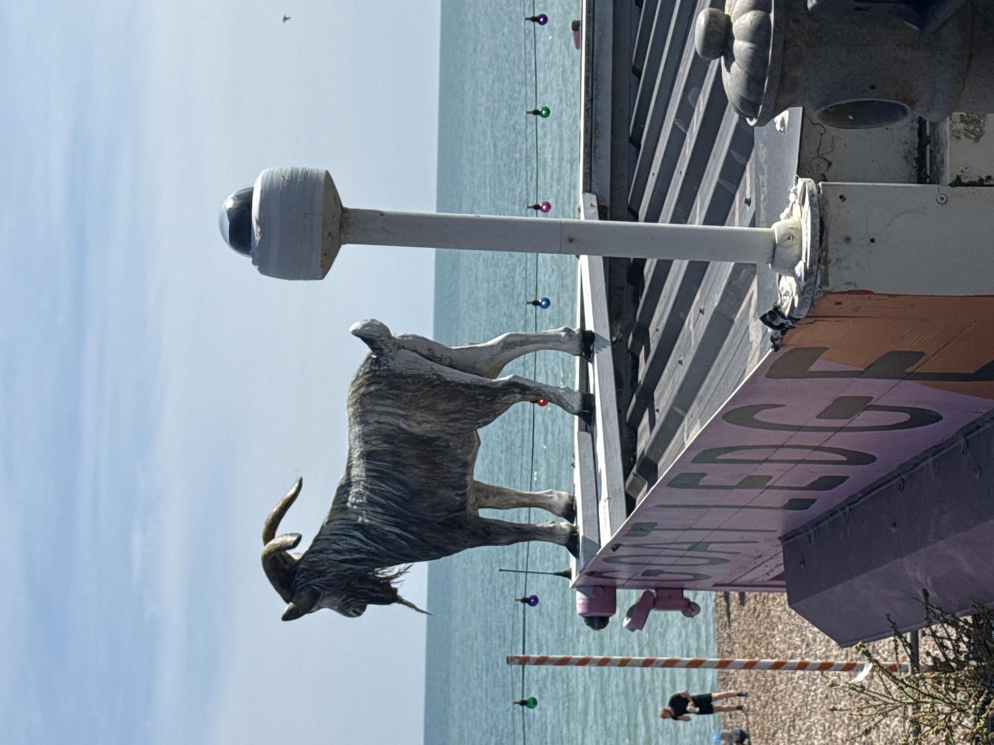 A concrete sculpture of a goat stands on the roof of a building labeled "GOAT Ledge" in St Leonards, United Kingdom. The goat is positioned to the left of a white pole with a black dome light fixture. The building appears to be a kiosk or cafe with a tin roof. In the background, the sea stretches to the horizon under a blue sky with scattered clouds. String lights with colorful bulbs are strung across the scene. On the pebble beach in the foreground, a person in a black t-shirt and shorts is visible. The image is taken from a slightly low angle, looking up at the goat and the building.