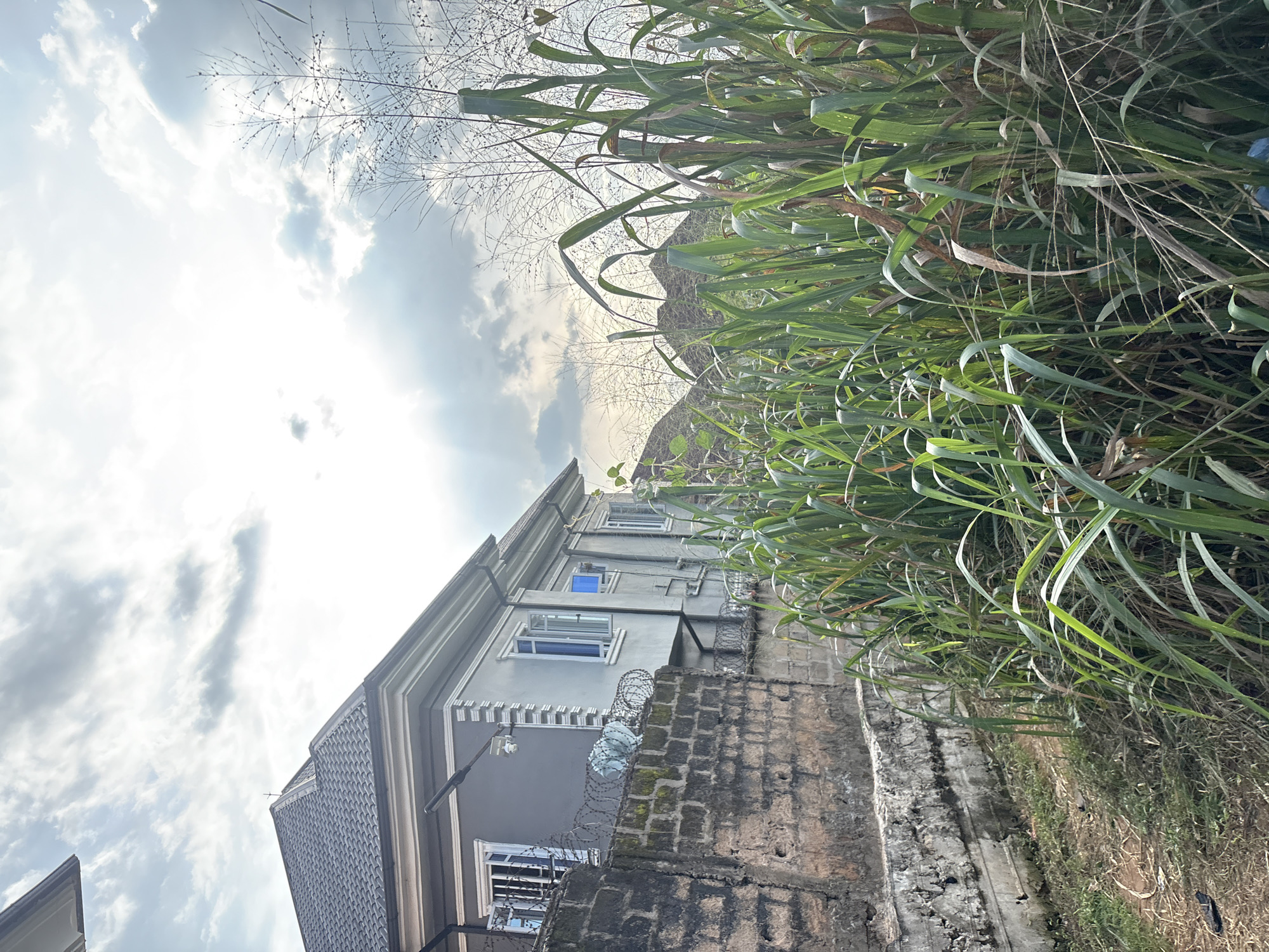 The image depicts a residential building in Obosi, Nigeria, under a cloudy sky with sunbeams breaking through. The building is a light gray, two-story structure with a dark gray, tiled roof and white trim around the windows and roofline. It has multiple windows, some open with blue curtains visible. A security camera is mounted on the exterior wall. A low, weathered brick wall with barbed wire runs along the front of the property, partially obscured by dense green vegetation in the foreground. The vegetation consists of tall, broad-leafed plants, possibly sugarcane or similar tall grasses, and drier, thinner stalks behind them. The ground is covered in dry grass and dirt. In the background, blurred, hilly terrain is visible. There are no people or animals in the frame, and no discernible actions or interactions are taking place.