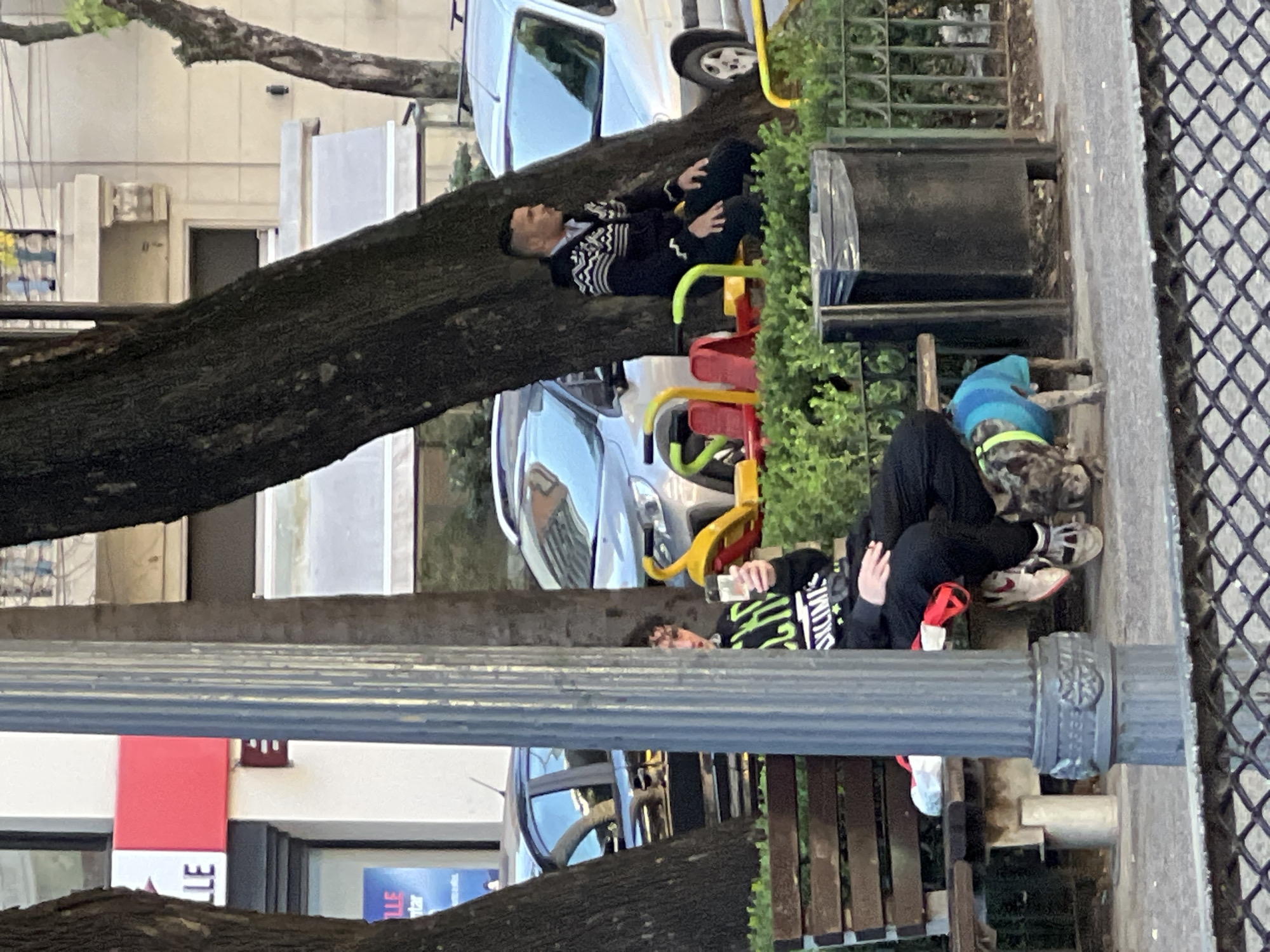 The image captures a street scene in Buenos Aires, Argentina. Two people are resting on park benches next to a tree. One person is sitting on the tree. A dog is wearing a blue and green sweater. There are cars parked nearby. The environment includes trees, buildings, a sidewalk, and a fence.