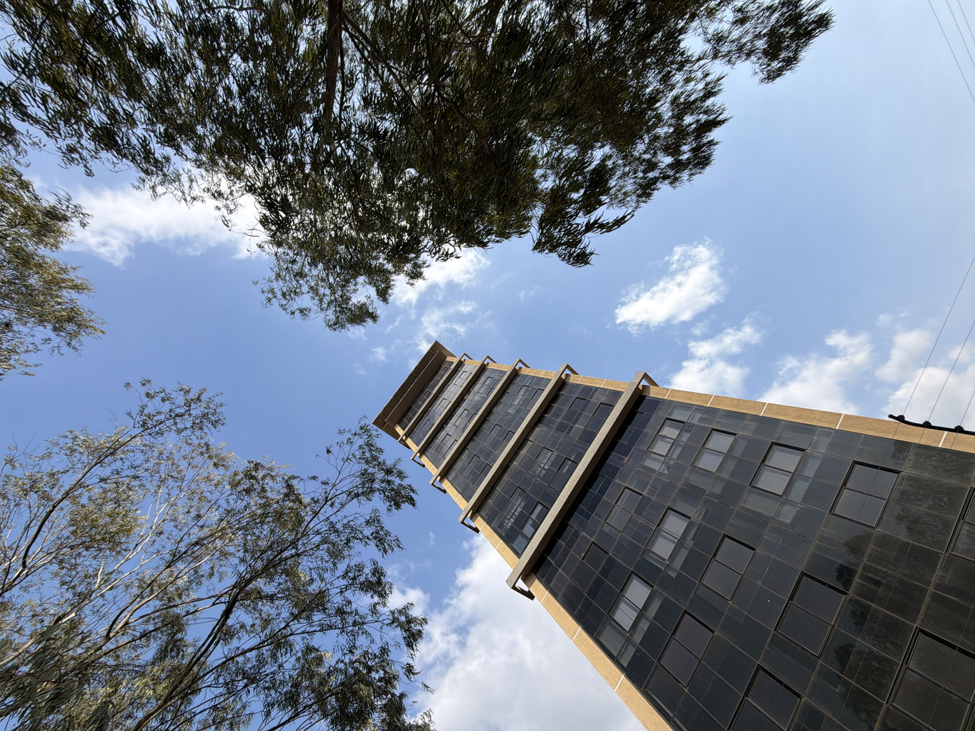 A low-angle shot of a building with dark windows in Ciudad Guayana, Venezuela is visible. The building is angled diagonally across the frame against a backdrop of a partly cloudy, blue sky. The top and bottom left corners are partially obscured by tree branches with leaves.
