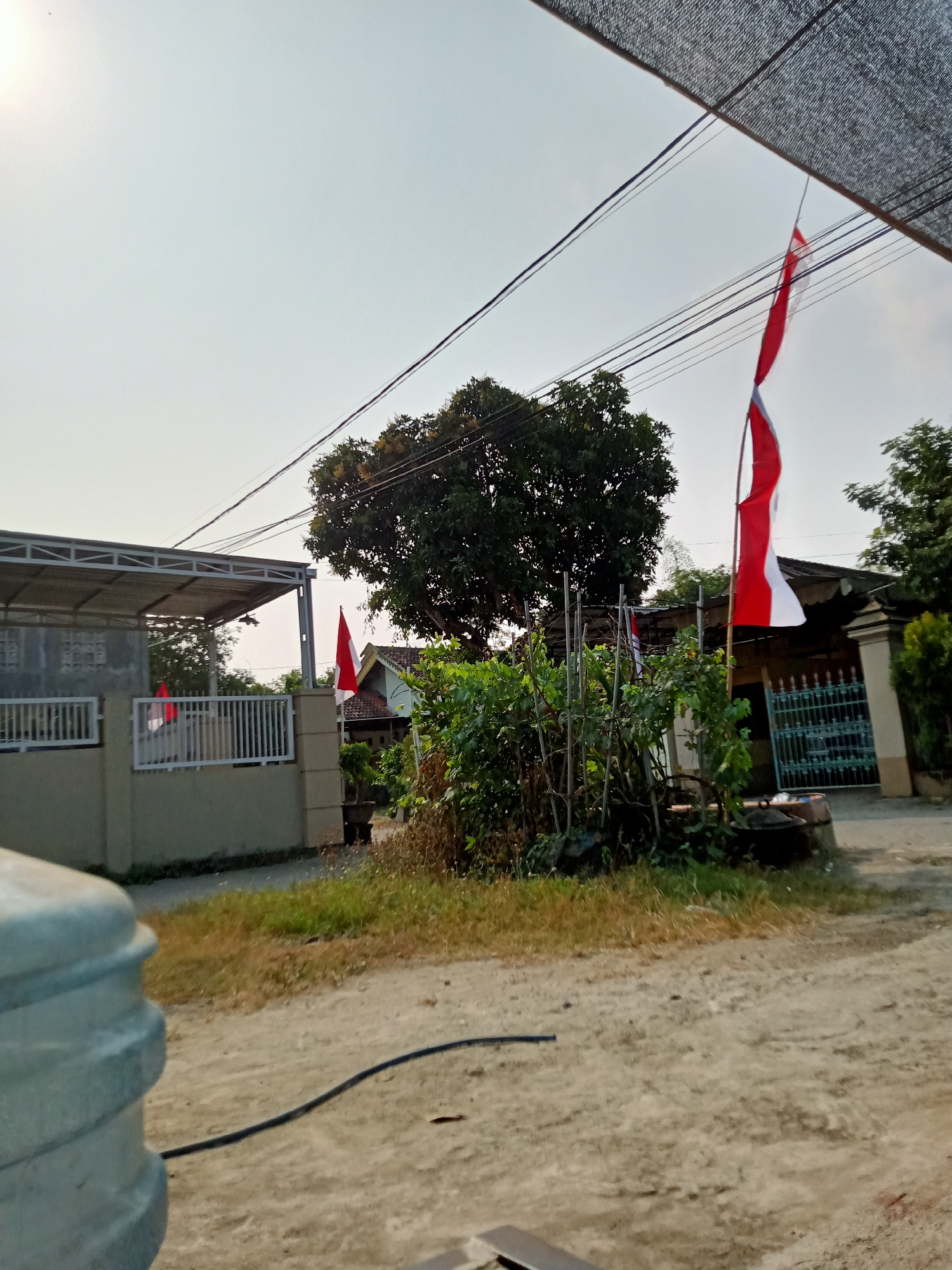 The image depicts a residential street scene in Simo, Indonesia, under a clear sky. In the foreground, the edge of a large, light-blue water dispenser is visible on the left. A black hose lies on the dusty ground, extending towards the center of the frame.
The middle ground features two Indonesian flags, red and white, flying from poles. The larger flag is positioned to the right of a dense cluster of green foliage, which includes some taller plants with stakes. Behind the foliage, a building with a light blue wall and a dark roof is partially visible, with a decorative metal gate. To the left of the flags and foliage is a building with a grey wall, a white fence, and a corrugated metal roof extending over a carport or porch. Another smaller red and white flag is visible on this side, attached to the fence.
A large, mature tree with dark green leaves stands behind the foliage and flags, its branches reaching towards the sky. In the background, more residential structures and trees can be seen, suggesting a typical neighborhood setting. The overall impression is of a quiet, sunny day in an Indonesian town.