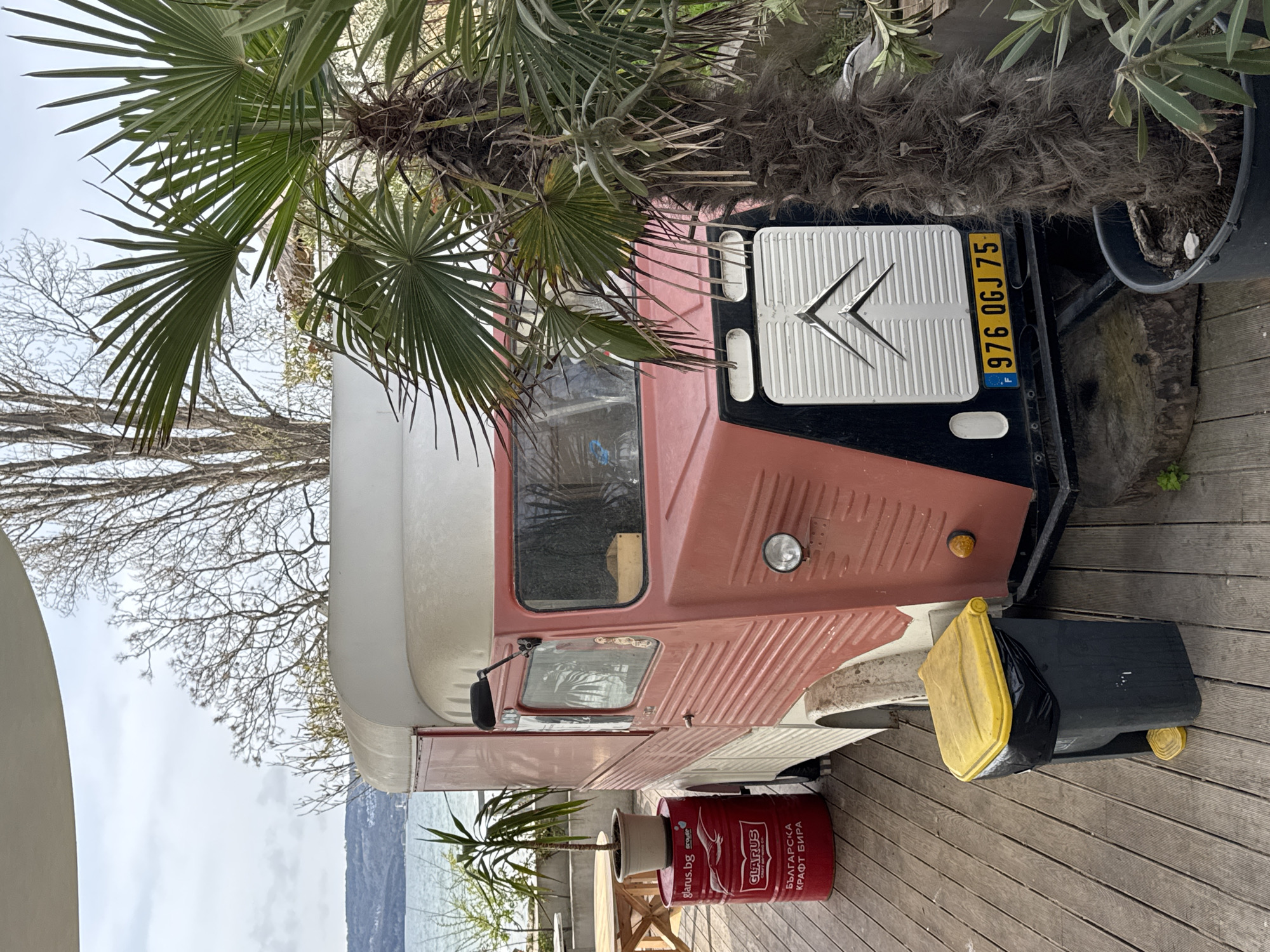 The image captures a vintage Citroen van parked on a wooden deck, likely overlooking a body of water. The van's exterior displays a two-tone color scheme, featuring a faded salmon pink and a white roof. The front of the van features the Citroen logo, as well as the license plate "976 OGJ 75". A palm tree partially obscures the van.
A red, repurposed metal barrel, labeled with Cyrillic text including "Българска крафт бира" (Bulgarian craft beer) and the brand "Glarus.bg", sits at the base of the van, functioning as a plant stand with a potted plant on top. A black trash receptacle with a yellow lid is positioned near the front of the van.
The backdrop features a landscape with a body of water and a distant shoreline. The image suggests the location is outdoors, and the Cyrillic text and license plate indicate it is likely in Bulgaria, specifically in Varna.