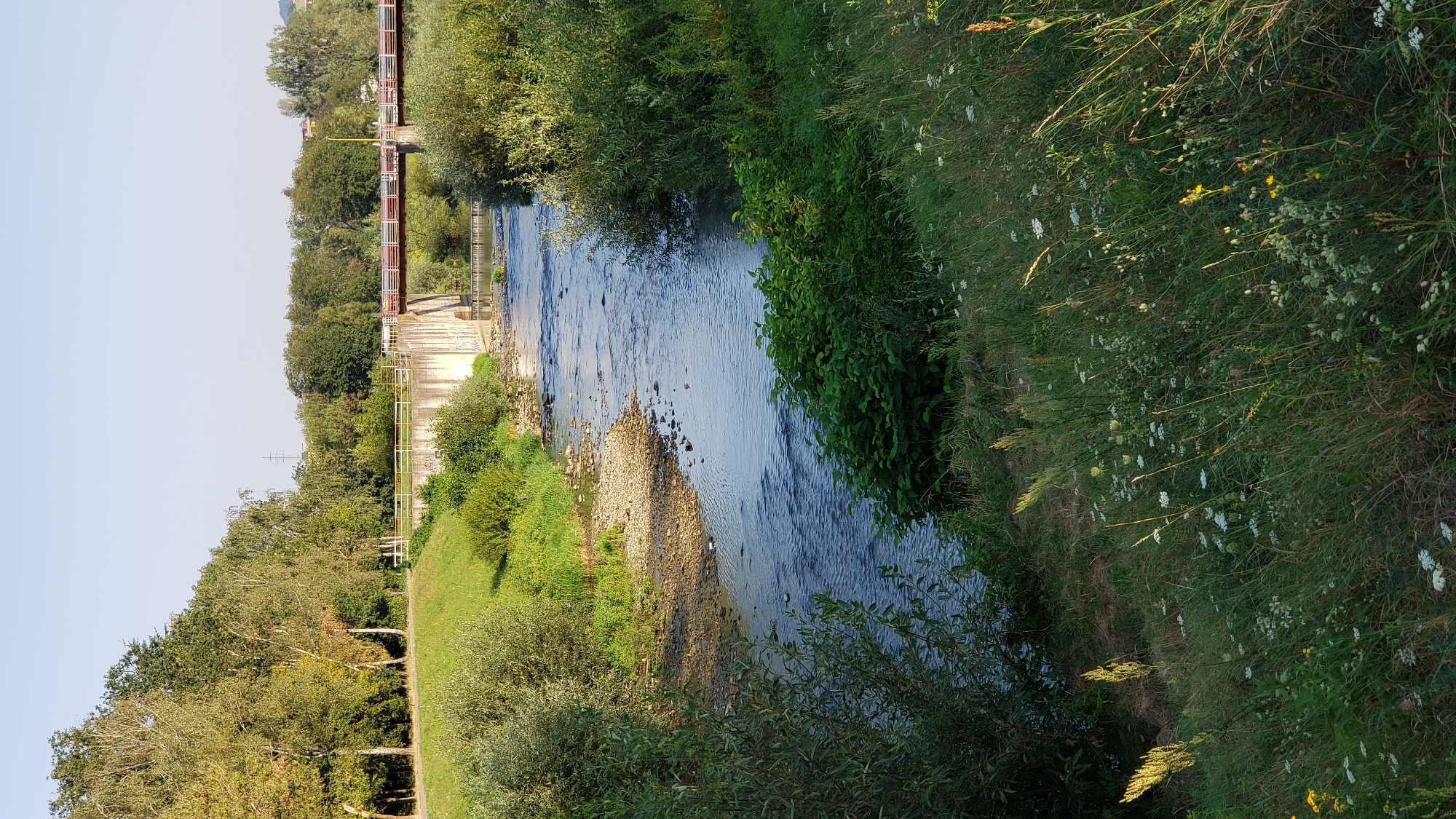 This is a photograph of the Torysa River in Prešov, Slovakia, taken on a clear day. The river flows from the background to the foreground, with a stony bank on the left and lush green vegetation on the right. In the background, a concrete structure, likely a weir or dam, spans the river, with a pedestrian bridge crossing over it. The bridge has red railings and a white deck. Trees line the banks of the river, with a path visible on the left bank leading towards the bridge. The foreground is dominated by tall grass and wildflowers. The lighting suggests it is late afternoon. There are no people or animals visible in the image.