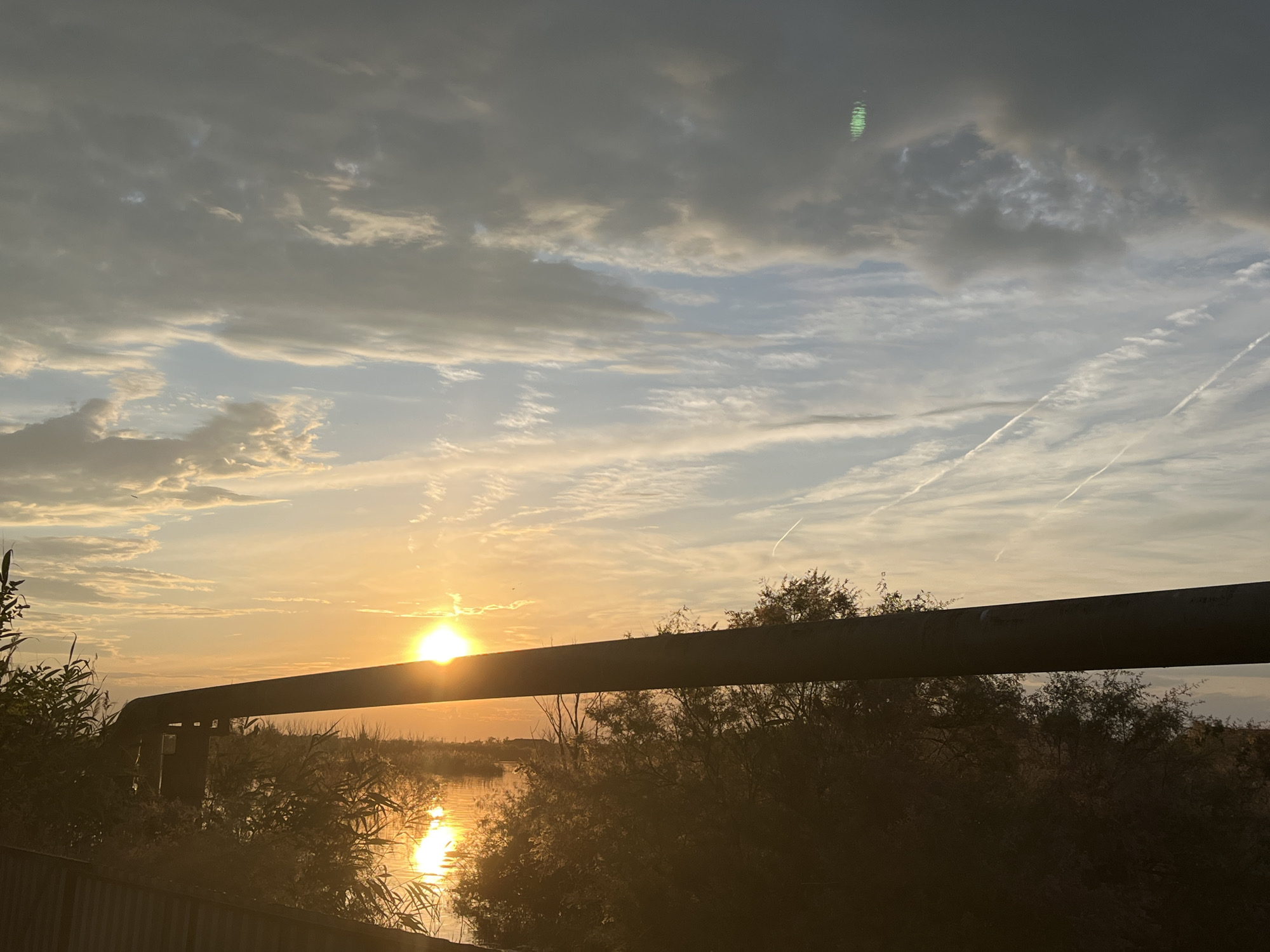 The image depicts a serene sunset over a body of water, likely the Volga River, near the settlement of Krasnyye Barrikady, Russia. A large, dark pipeline stretches horizontally across the middle ground of the frame, partially obscuring the view of the sun. The sun, a bright orb, is positioned in the left-center of the image, casting a warm, golden glow across the water and the sky. Wispy clouds, tinged with orange and yellow hues, are scattered across the sky, with some appearing darker and heavier. Two faint contrails from aircraft are visible in the upper right portion of the sky. The foreground is dominated by dark, silhouetted vegetation and what appears to be a fence or railing. The water reflects the colors of the sunset, creating a shimmering effect. The overall atmosphere is one of peaceful natural beauty, with the industrial element of the pipeline serving as a stark contrast to the organic landscape. There are no people or animals visible in the image.
