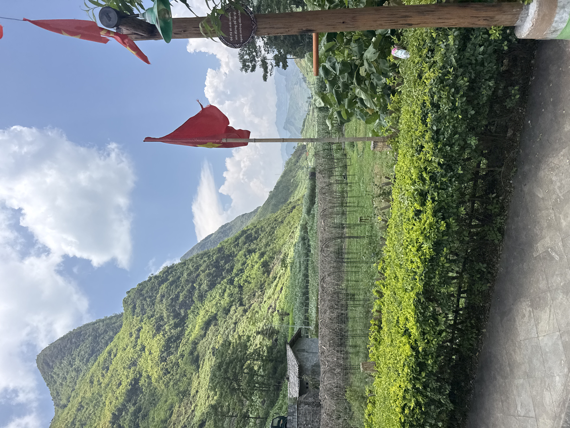 The image shows a landscape in the Mèo Vạc Commune, Vietnam, featuring a lush green mountain, a blue sky with white clouds, and a path lined with manicured hedges. A Vietnamese flag flies on a pole in the foreground. The mountain is densely covered with vegetation. In the middle ground, there is a structure with a roof visible and a series of arched trellises spanning a field. A sign written in Vietnamese is attached to a wooden structure above the flag.