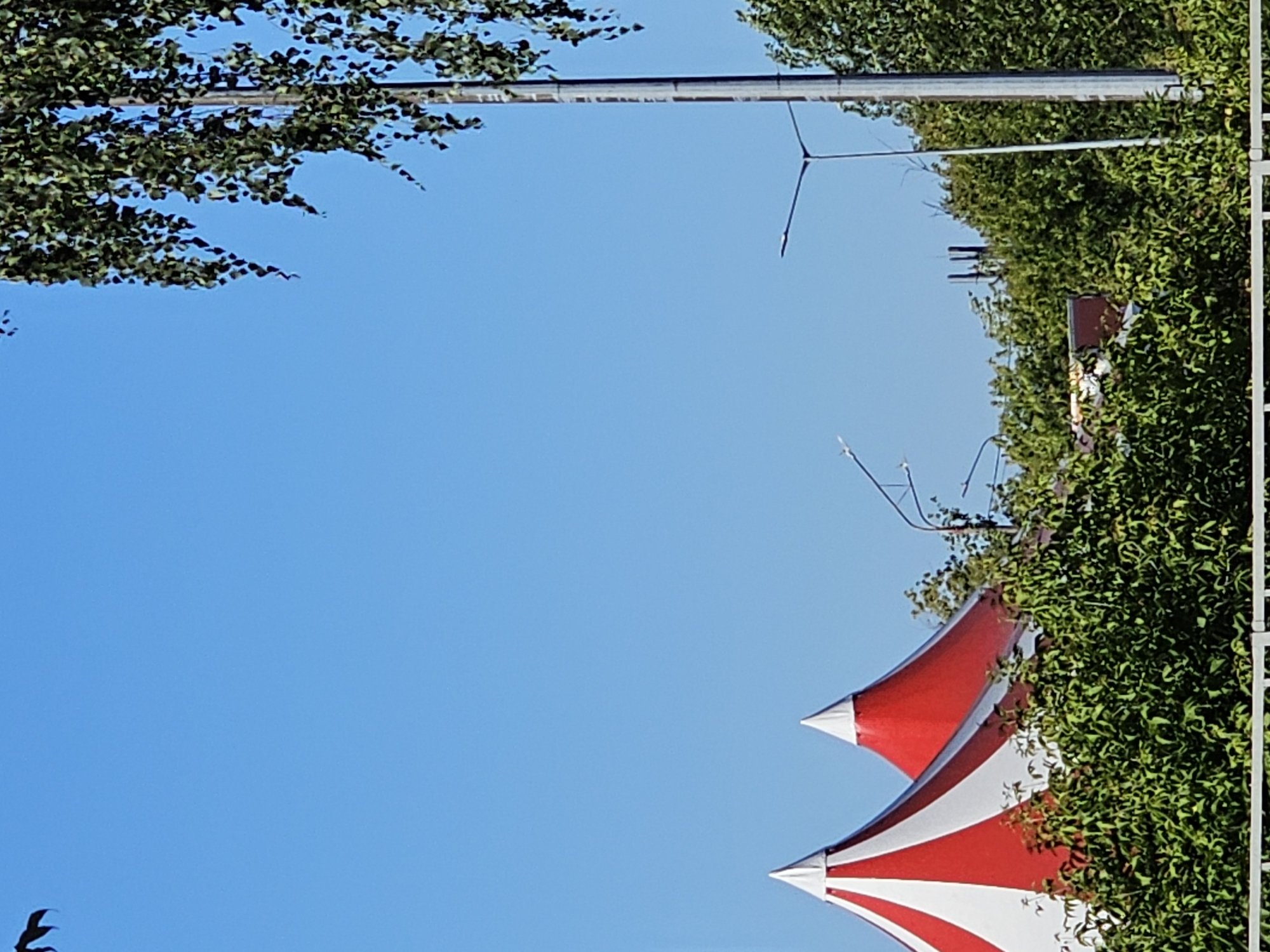 The media file shows a partially cropped view of a bright blue sky with some greenery and circus tents. The composition is unusual, as if the camera was tilted upwards. In the upper left corner, a dense canopy of green leaves from a tree hangs over the scene. A thin metal pole runs horizontally across the sky, with what appear to be electrical wires or cables attached to it.
Further down on the right side of the image, two distinctive circus tent peaks are visible. These tents have a striking red and white striped pattern, with white tips. They are partially obscured by lush green foliage, suggesting they are set within a park or outdoor area. Some smaller, thin poles or antennas are also visible protruding from the greenery near the tents.
In the lower left corner, a silhouetted object that resembles a bird in flight is visible against the blue sky.
The overall impression is of a sunny day, likely outdoors, with a festive or recreational atmosphere suggested by the circus tents. The clear blue sky indicates fair weather. There is no visible text in the image. The location cues, such as the type of greenery and the general aesthetic, are consistent with an outdoor setting in Nizhny Novgorod, Russia, during a pleasant season. The image focuses on elements of the environment rather than people or specific actions.