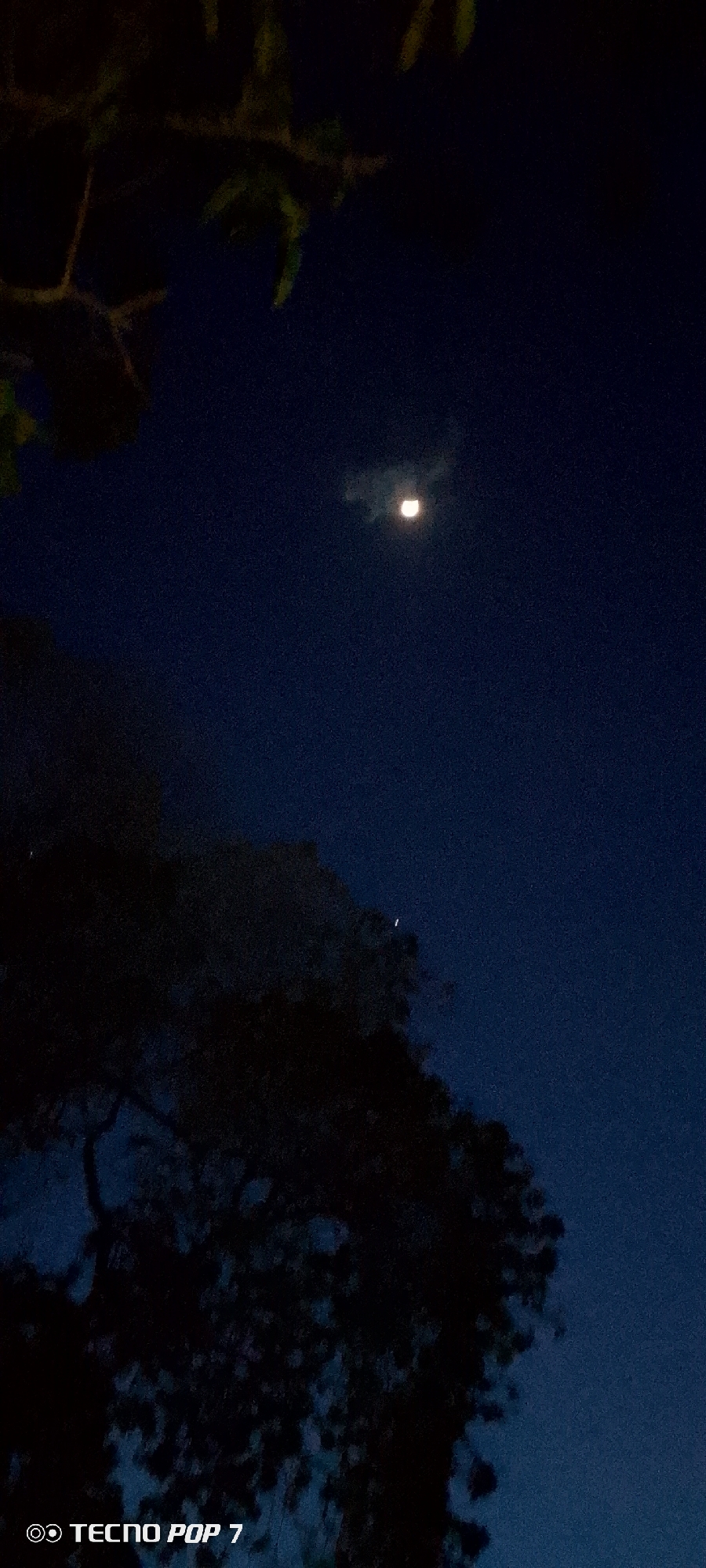 The image captures a dark night scene in Altagracia, Venezuela. In the center of the frame, a partial moon is visible in the dark blue sky, surrounded by a faint cloud. Silhouetted trees occupy the bottom left and top left corners, their forms indistinct due to the darkness. A bright star is also visible in the sky. The words "TECNO POP 7" are printed in the bottom left corner of the image.
