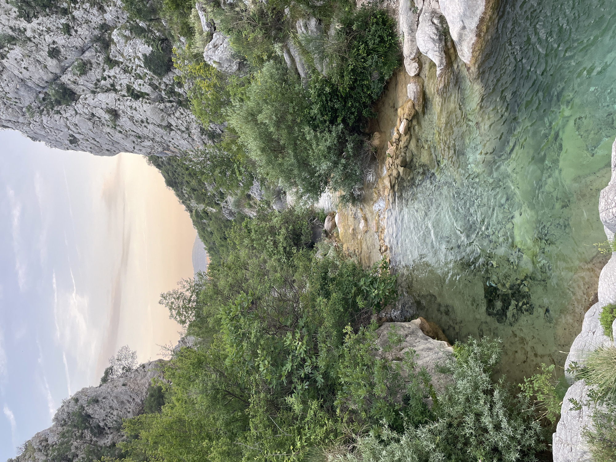 A vibrant natural landscape, located in Zupci, Montenegro, is captured in this image. A crystal-clear stream, exhibiting distinct turquoise and light green hues, flows through a rocky gorge. The water is exceptionally transparent, allowing the viewer to clearly see the rocky riverbed and submerged stones.
Towering, light-grey rock formations, characterized by intricate textures of cracks and crevices, rise steeply on both sides of the stream, forming the canyon walls. Lush green vegetation, including small trees, dense bushes, and various grasses, abundantly covers parts of the rocky banks and slopes, creating a vivid contrast against the pale stone and clear water.
The sky in the background displays a gentle gradient, transitioning from a soft light blue with wispy clouds on one side to a warm, pale orange-yellow glow on the other, strongly suggesting either sunrise or sunset. The overall lighting is soft and diffused, bathing the scene in a tranquil glow. There are no people or signs of human activity visible, emphasizing the untouched and serene natural ambiance. No text is visible in the image.