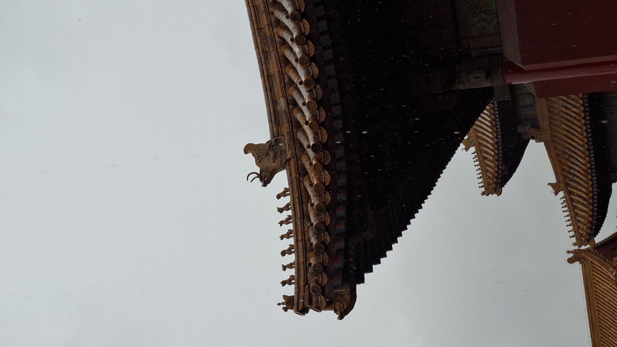 The image shows the eaves of a traditional Chinese building, likely located in the Forbidden City in Dongcheng District, Beijing, China, given the architectural style. The eaves are adorned with rows of curved tiles, and a sculpted dragon head is visible. The background is a gray sky, suggesting overcast weather. The scene is oriented at an upward angle, providing a worm's-eye view of the building's structure.