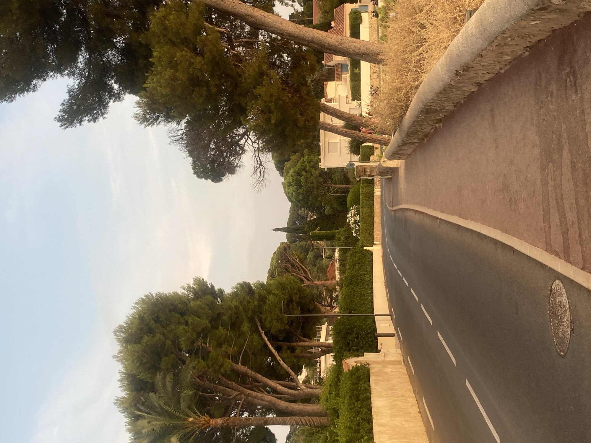 The image depicts a gently curving asphalt road in Antibes, France, bordered by a sidewalk on the right and a low, light-colored stone wall with vegetation on the left. Tall evergreen trees, including some pine trees and a palm tree, line the road, casting shadows. Beyond the trees, white residential buildings with red-tiled roofs are visible, set amidst lush green landscaping. The sky is a pale blue with wispy clouds, suggesting either early morning or late afternoon light, as evidenced by the warm glow on the left-hand wall. A circular manhole cover is present in the road. In the background, more trees and buildings are visible, indicating a semi-residential or resort area. There are several motorcycles parked along the right side of the road, near the buildings and vegetation, and a few individuals can be seen in the distance, near the motorcycles.