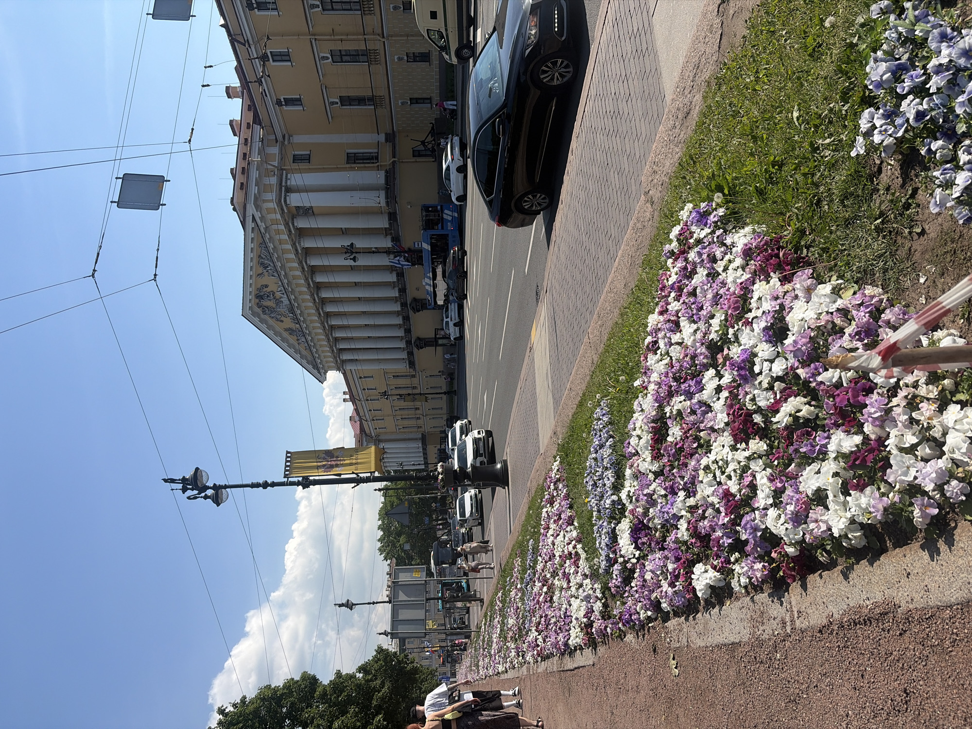 The image depicts a sunny day on a wide boulevard in Saint Petersburg, Russia, likely Nevsky Prospekt, given the architecture and scale. In the foreground, a meticulously maintained flower bed is overflowing with a vibrant display of purple, white, and pink petunias, bordered by a gravel path and green grass. Beyond the flowers, a multi-lane road carries traffic, including a black sedan, a white car, a blue bus, and a van. The left side of the boulevard features a sidewalk with a few pedestrians, including a couple walking away from the camera. On the right, a grand, yellow classical building with imposing white columns and a decorative facade dominates the background, characteristic of historic Saint Petersburg landmarks. Streetlights and overhead wires for public transport are visible against a bright blue sky dotted with fluffy white clouds. The scene conveys a sense of urban vibrancy and civic beauty.