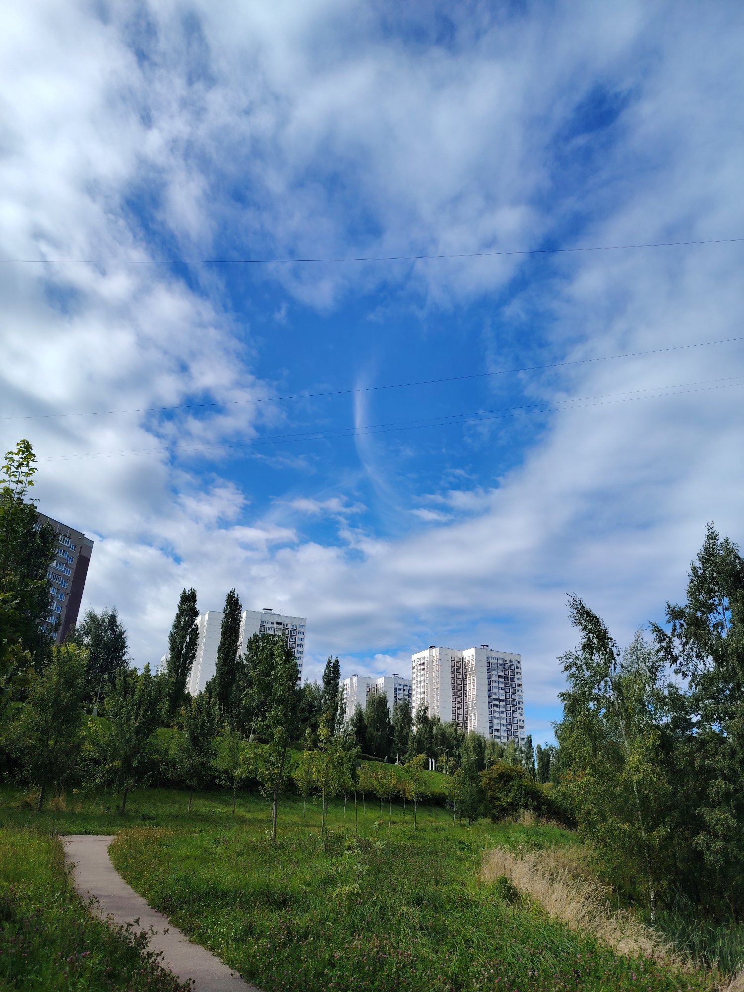 The image depicts a park area with a winding pathway in the foreground, leading towards a grassy slope dotted with trees. In the background, several multi-story apartment buildings are visible, characteristic of urban residential areas. The sky is a bright blue with scattered white clouds. A thin wire, likely an electrical or telecommunication line, stretches horizontally across the upper portion of the frame. The overall scene suggests a public park located within a residential district in Zelenograd, Russia. There are no people or animals visible in the image. The environment appears to be an outdoor urban landscape during daylight hours, likely in late summer or early autumn given the green foliage.