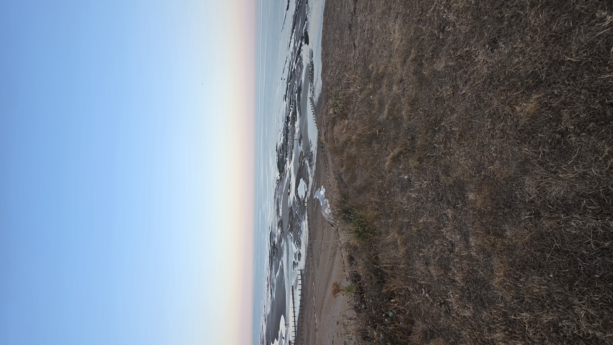 The image shows a wide shot of a beach at low tide, with the sea stretching out to the horizon under a clear, pale blue sky. The foreground is dominated by dry, brown grass and some scattered litter on a sloping embankment. Below the embankment, there is a wide expanse of sand and shallow water, with rocks and wooden groynes visible. Several people are walking on the beach in the distance. The water is calm and reflects the pastel colors of the sky. The overall scene suggests a coastal landscape during twilight or early morning. The specific location is the coast near Rother, United Kingdom.