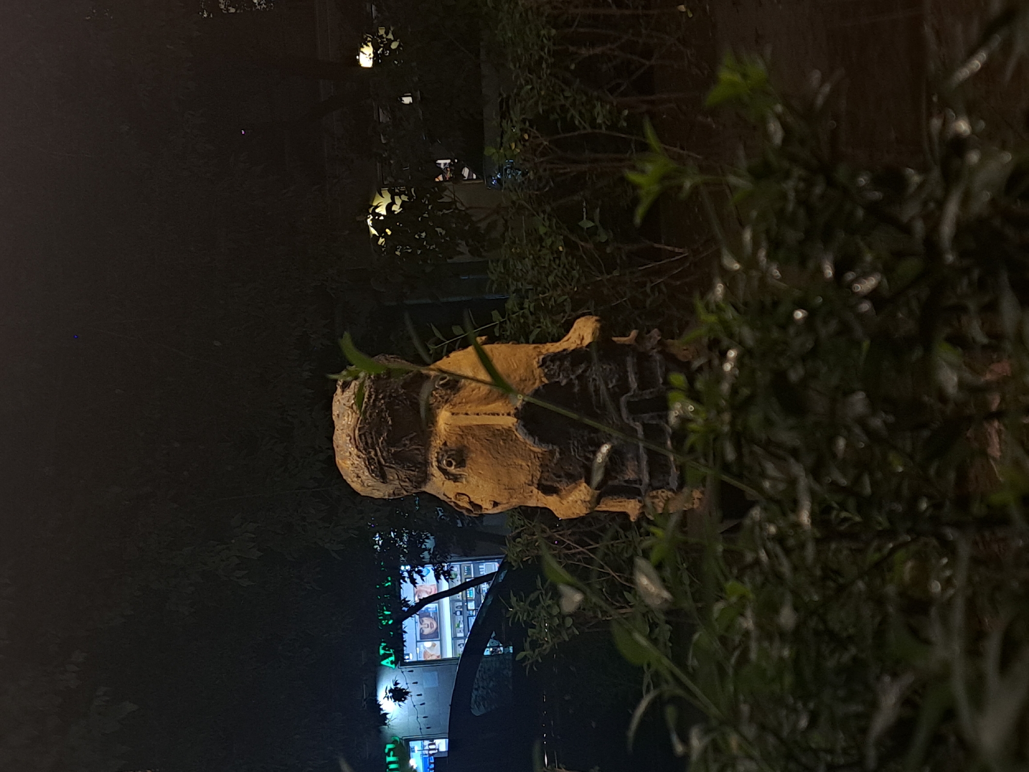 The image depicts a statue of a head with dark crevices, appearing to be made of bronze or similar material, situated among foliage in Yerevan, Armenia. In the background, there is a commercial establishment with illuminated signs and windows, potentially a store or a restaurant, visible through the leaves. It is night. The leaves are in focus, whereas the building is blurred.