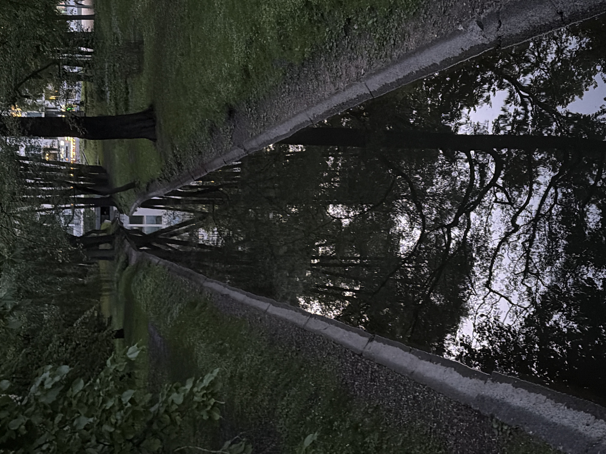 A still, dark body of water with concrete edges runs down the center of the frame, reflecting trees and a building with lights in the distance. Grass and shrubbery grow along the edges of the water. The image appears to be taken at dusk or night. The location is an urban environment.