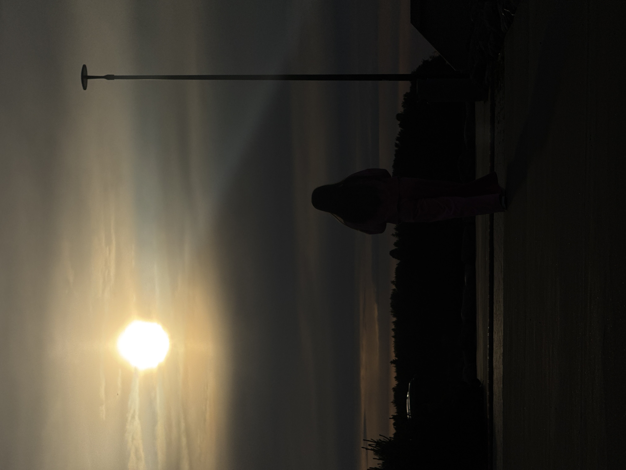A low-angle, silhouette shot shows a person walking away from the camera towards a bright sun low in the sky. The sun is partially obscured by clouds, and its rays are visible. To the right of the person is a tall, dark lamppost. The background is a dark silhouette of trees. The ground in front of the person appears to be a paved surface. The scene suggests an outdoor setting during either sunrise or sunset. There is no indication of the city of Tallinn, Estonia.
