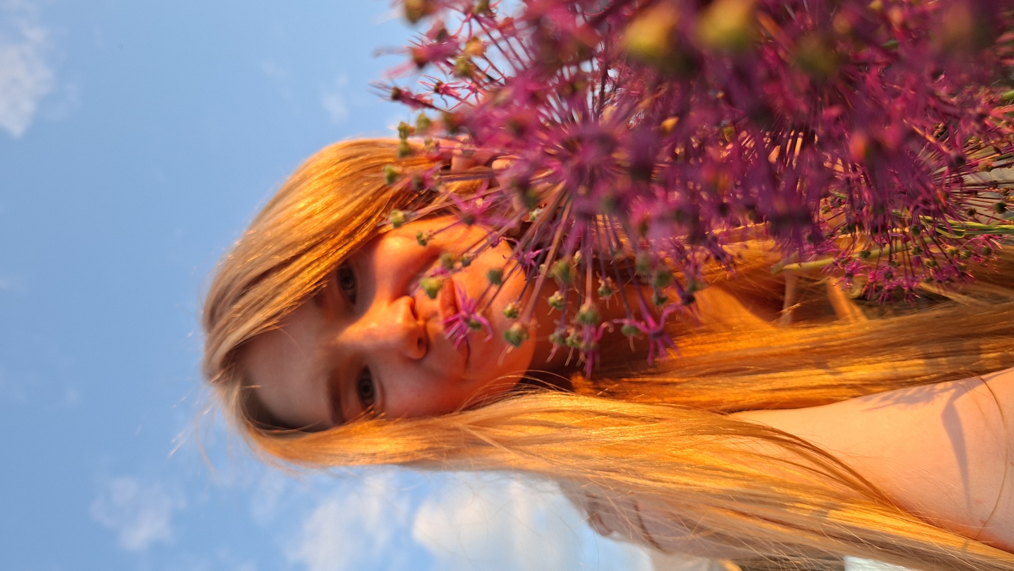 A low-angle portrait features a young person with long, flowing reddish-blonde hair, illuminated by a warm, golden light against a clear blue sky. The individual's face, visible in the lower-middle portion of the frame, is partially obscured by a large, spherical purple flower (likely an Allium) in the foreground. The warm light, suggestive of golden hour (either sunrise or sunset), bathes the subject's skin and hair, creating prominent highlights and a soft glow.
The person's light-colored eyes look directly towards the viewer with a calm expression. Their hair cascades across the frame, catching the light and appearing vibrant orange-gold. The striking purple flower, in sharp focus, sits prominently in front of and slightly above the person's head, its intricate star-like florets adding a burst of color.
The background consists of a bright, serene blue sky with a few soft, scattered white clouds, indicating fair weather. The perspective is from below, looking upwards, giving the image a unique, immersive feel. There is no discernible text within the image. The scene is set in Большой Букор, Russia.