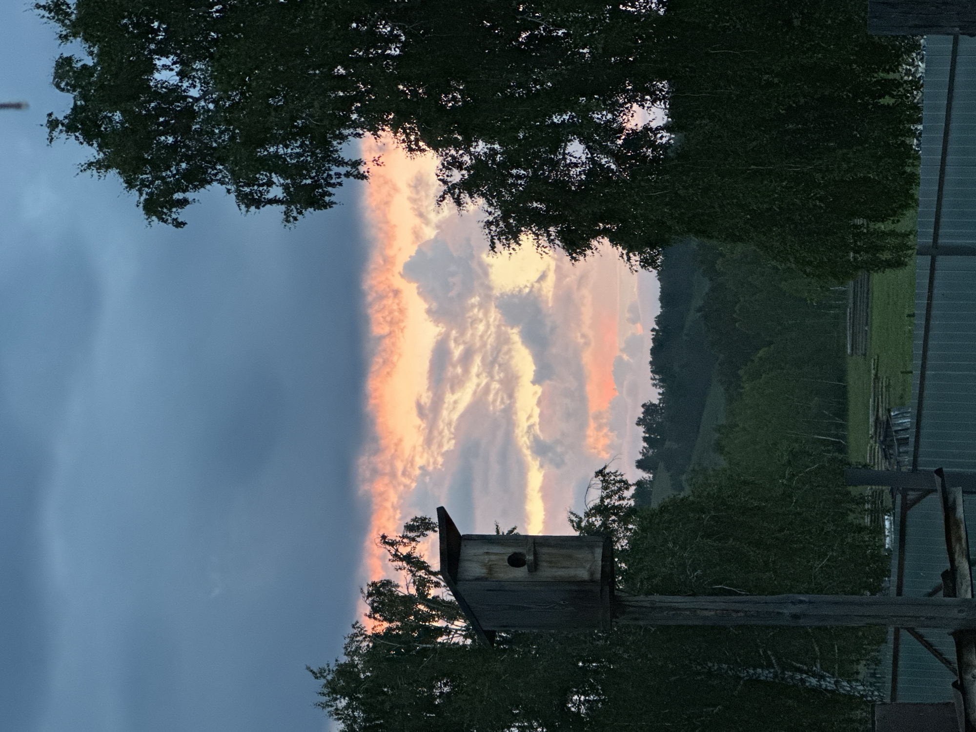 A rustic wooden birdhouse stands on a pole in a rural setting, silhouetted against a dramatic sunset sky. The sky is a tapestry of deep blues and grays in the upper portion, transitioning to vibrant streaks of pink and orange clouds lower down, illuminated by the setting sun. Two large trees, one on the left and one on the right, frame the scene, their dark foliage creating a stark contrast with the colorful sky. The birdhouse itself is weathered, showing signs of age, with a single circular opening visible.
Below the sky and trees, a verdant green landscape unfolds, suggesting rolling hills covered in dense forest. In the foreground, a metallic fence runs horizontally across the image, partially obscuring a glimpse of what appears to be an agricultural area with some wooden structures. The overall impression is one of serene, natural beauty at dusk.