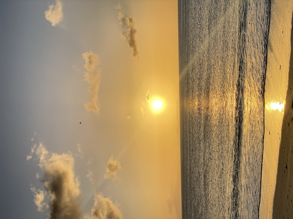 The image displays a sunset over a coastal area in Juan Griego, Venezuela. The scene is bisected horizontally by the horizon line, separating the sky from the ocean and beach. The sky, occupying the upper two-thirds of the frame, exhibits a gradient from light blue at the top to intense orange and yellow towards the horizon, indicative of a sunset. A bright, circular yellow-orange sun is centrally positioned just above the horizon, emitting distinct light rays. Scattered cumulus clouds, illuminated with orange hues, are present in the upper left and right sections of the sky. A small, dark avian form is visible in flight in the upper-left quadrant. The middle section of the image is dominated by a body of water, reflecting a broad, shimmering column of golden light originating from the sun and extending towards the foreground. Subtle waves are visible on the water's surface. A faint, low-lying landmass is discernible on the distant horizon to the left and right of the sun. The bottom third of the image consists of a sandy beach shoreline. The wet sand at the immediate waterline reflects the golden light from the sun, with the edge of a gentle wave visible as it recedes. No people, discernible man-made objects, or specific actions are observed within the frame.