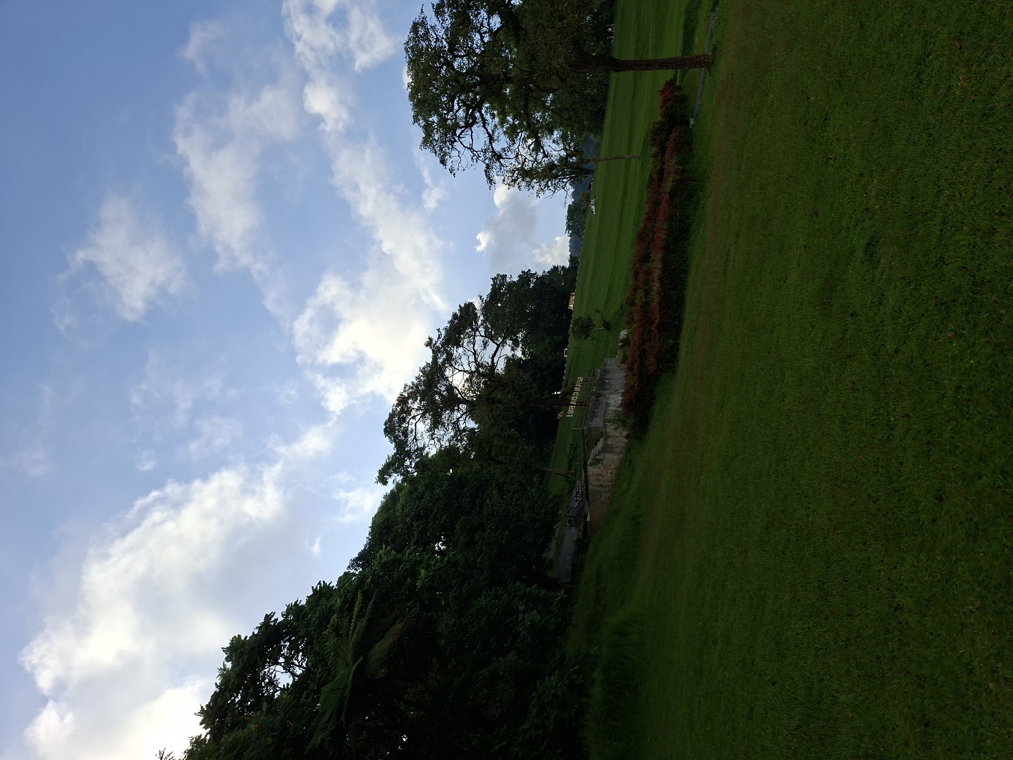 The image depicts a park scene in Baturiti, Indonesia. The foreground is dominated by a vibrant green lawn. A line of red flowering plants separates the lawn from a slightly elevated area. Trees with dense foliage are visible, their branches reaching towards a blue sky dotted with white clouds. A sign is also visible, although the details of the text are not clearly discernible. No people are visible.