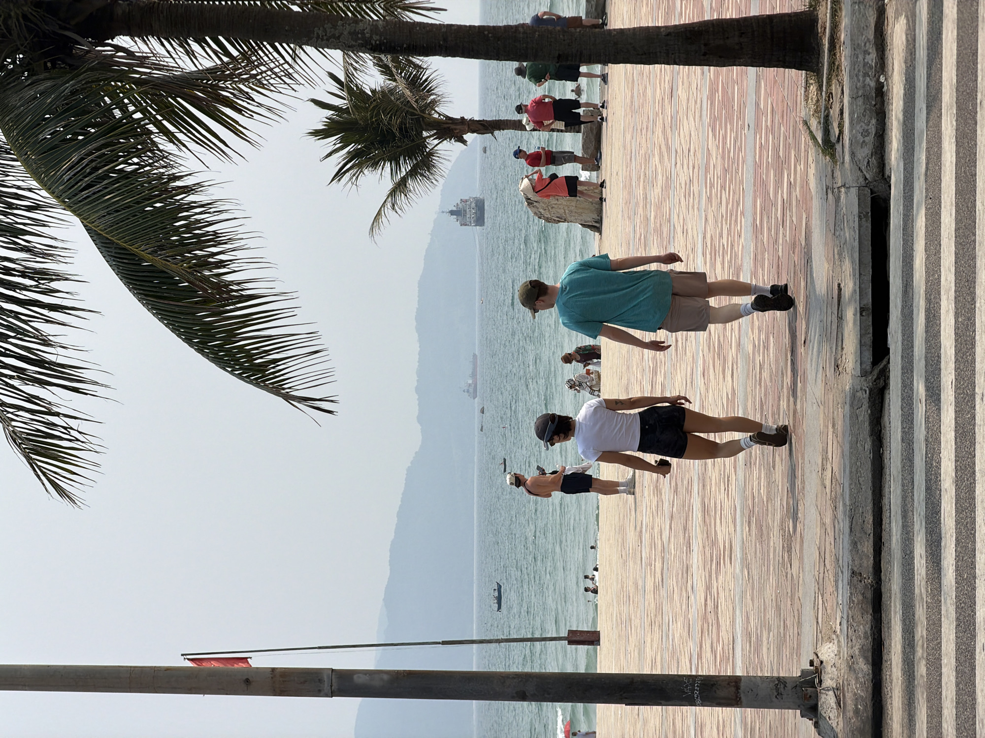 The image depicts a seaside scene in Đà Nẵng, Vietnam, likely along the coastal promenade. Two palm trees frame the left side of the image. A group of people is visible along the promenade, some standing and looking out at the water. A ship is visible in the distance on the water. Two individuals, one in a turquoise shirt and khaki shorts, and another in a white shirt and dark shorts, are walking along the promenade. The promenade is paved with brick. A red flag on a pole is visible near the bottom left of the image. The overall environment is sunny and bright.