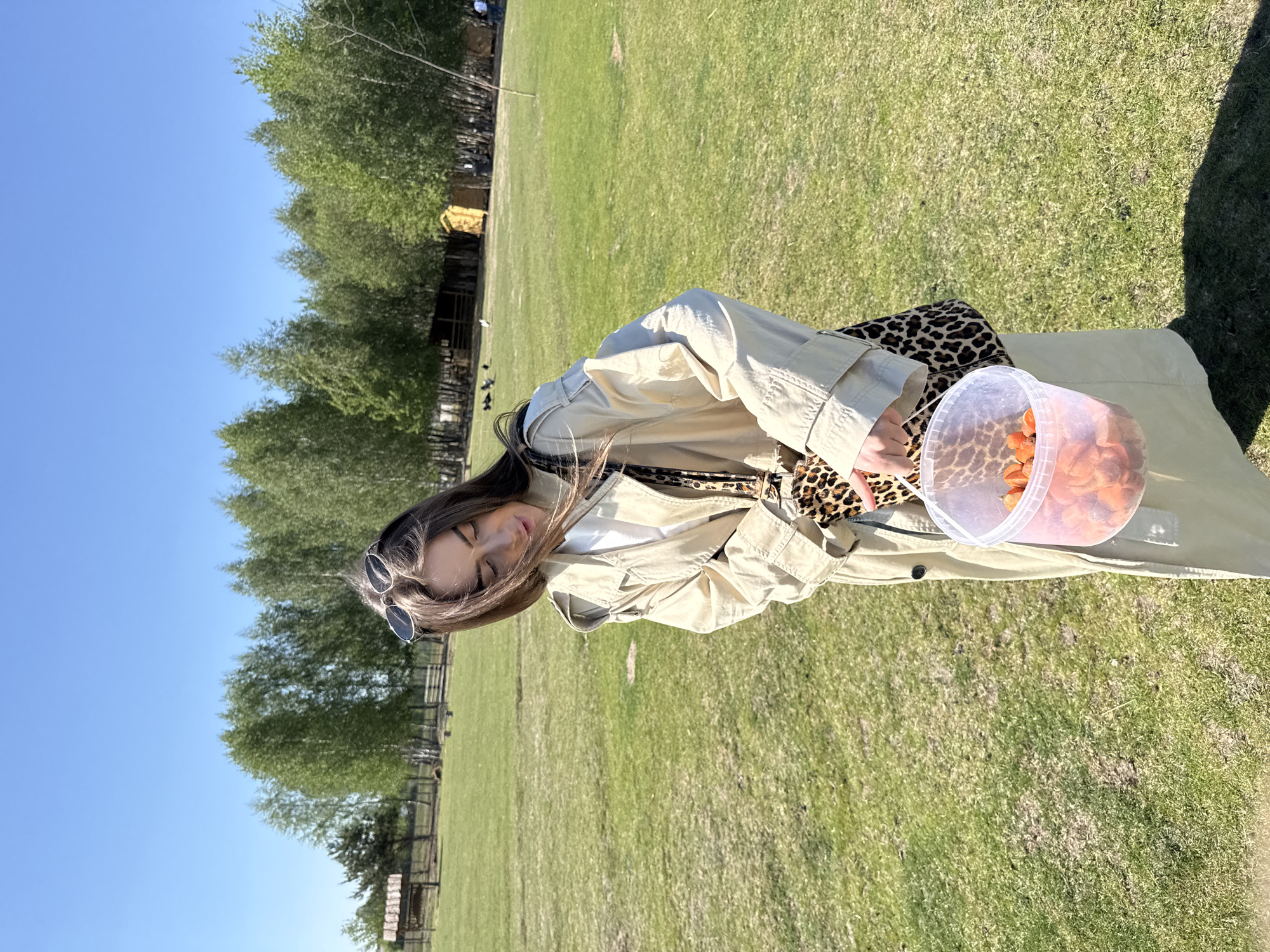 The image shows a woman sitting in a grassy field on a sunny day. She is wearing a tan trench coat over a leopard print top and sunglasses are perched on her head. She is holding a clear plastic bucket filled with orange items, possibly snacks. The background includes trees and a blue sky, and a fence is visible in the distance, suggesting a park or outdoor area. The location appears to be in a city, although the specific city name is not discernable from the image.