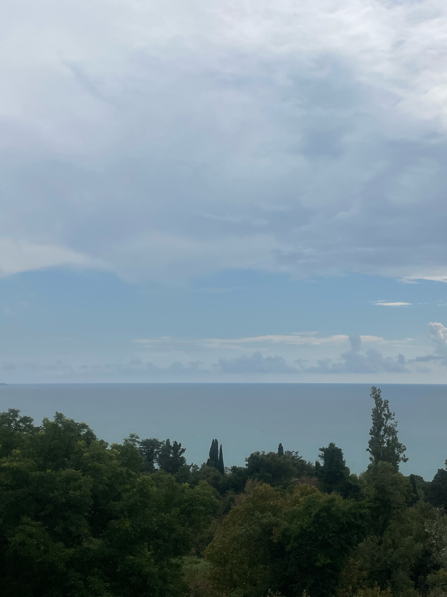 The image shows a view of the sea and a green, wooded hillside under a cloudy sky. In the foreground, a dense canopy of dark green trees covers the hillside, with some lighter green foliage interspersed. Several taller trees, including a distinctive tall, slender tree with a pointed top on the right, rise above the main treeline. The middle ground consists of the calm, bluish-gray sea, stretching to the horizon. The horizon line is flat and clearly defined. The sky above is filled with a mix of light and dark gray clouds, with patches of lighter blue visible. The overall impression is one of a natural landscape, possibly a coastal park or natural reserve. This scene could be representative of the natural beauty found in areas of Sochi, Russia, known for its Black Sea coastline and lush vegetation. There are no people or visible man-made structures in this frame.