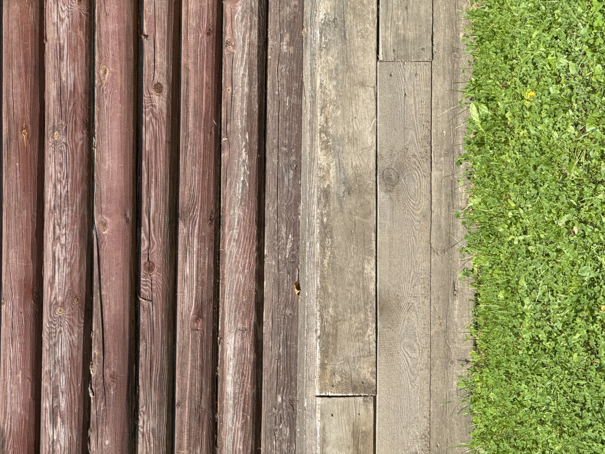 The image depicts a close-up, head-on view of a weathered wooden wall and the ground in front of it. The wall is constructed from horizontal, rough-hewn logs, stained a dark reddish-brown, with visible wood grain and knots. Below the logs, there are two horizontal planks of lighter, aged wood, laid end-to-end, with a lighter, more worn surface. The very bottom of the image shows a patch of lush green grass, with some clover and other small plants. No people or actions are visible. The scene appears to be outdoors, possibly on the exterior of a rustic building in Усть-Мана, Russia. The lighting suggests it is daytime, with shadows subtly indicating the direction of the sun.